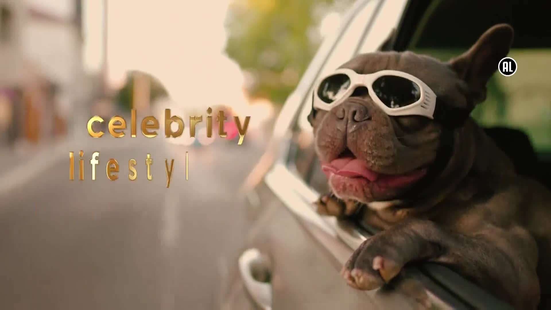 AnimalPlanet