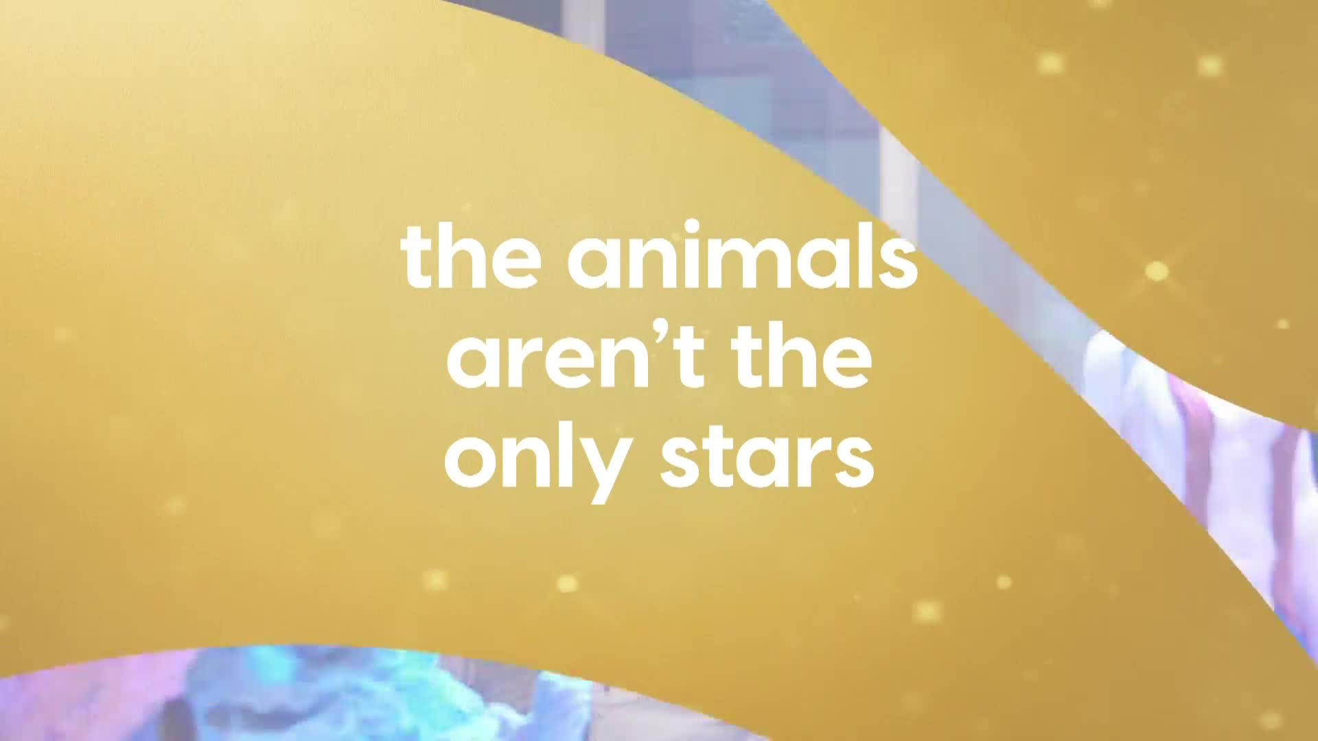 AnimalPlanet