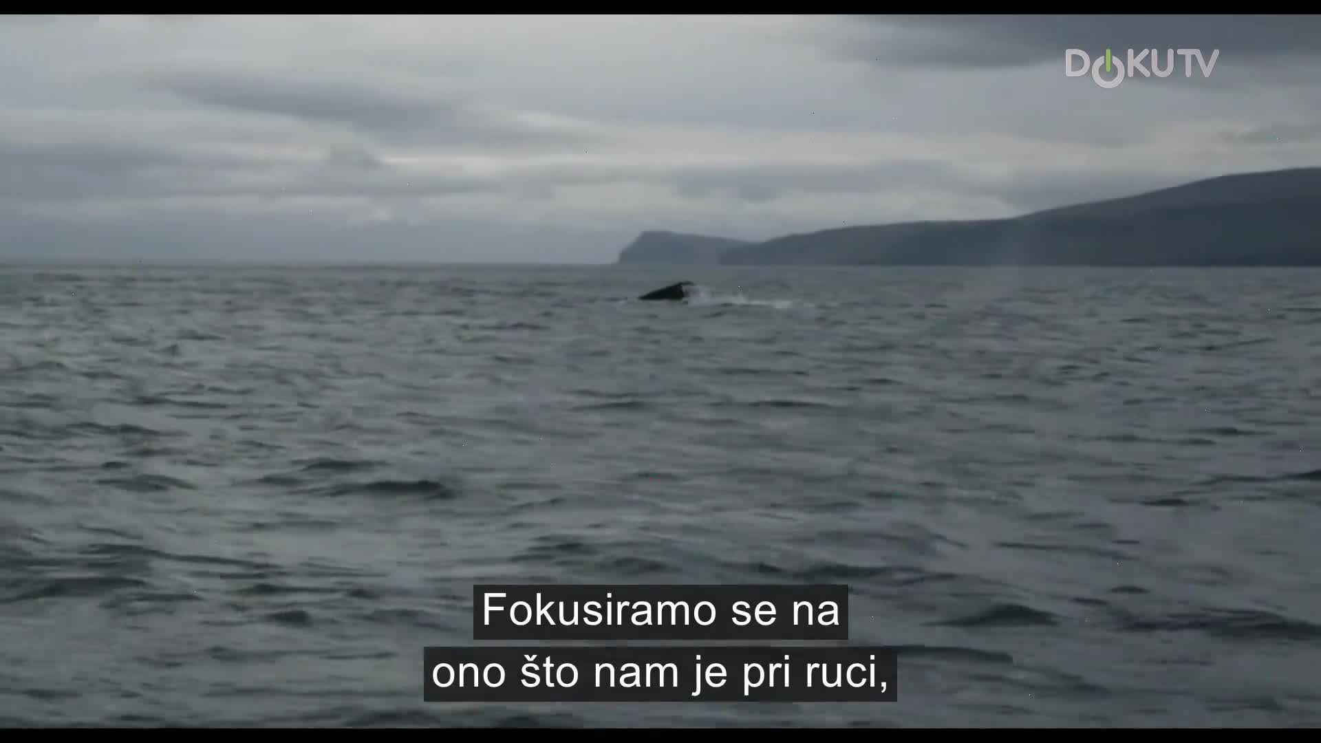 DokuTV