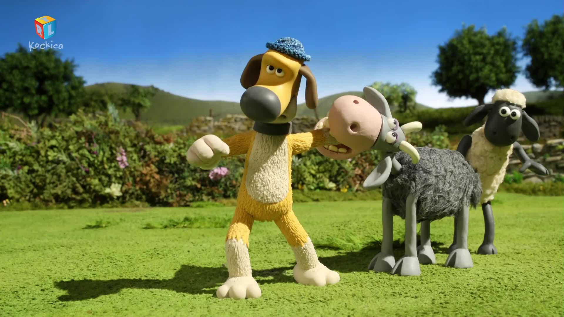 RTLKockica