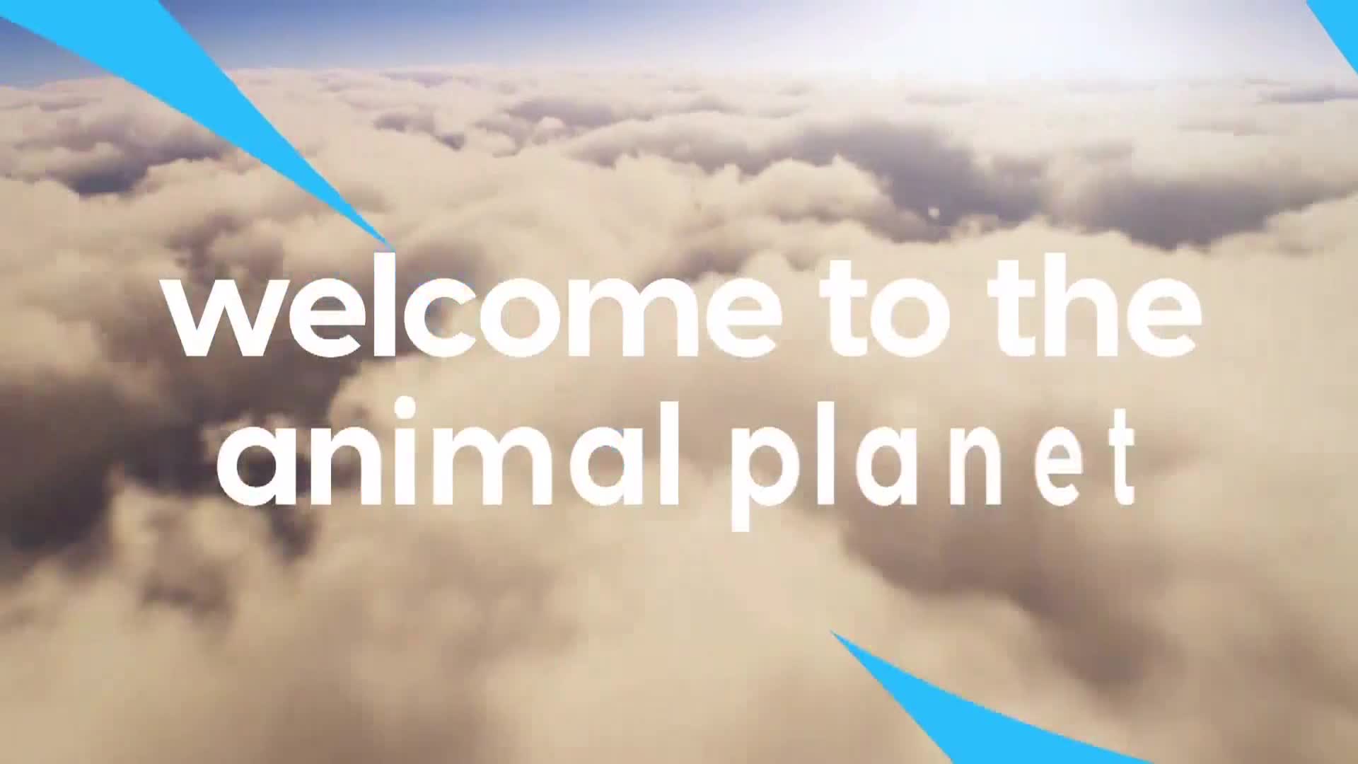 AnimalPlanet