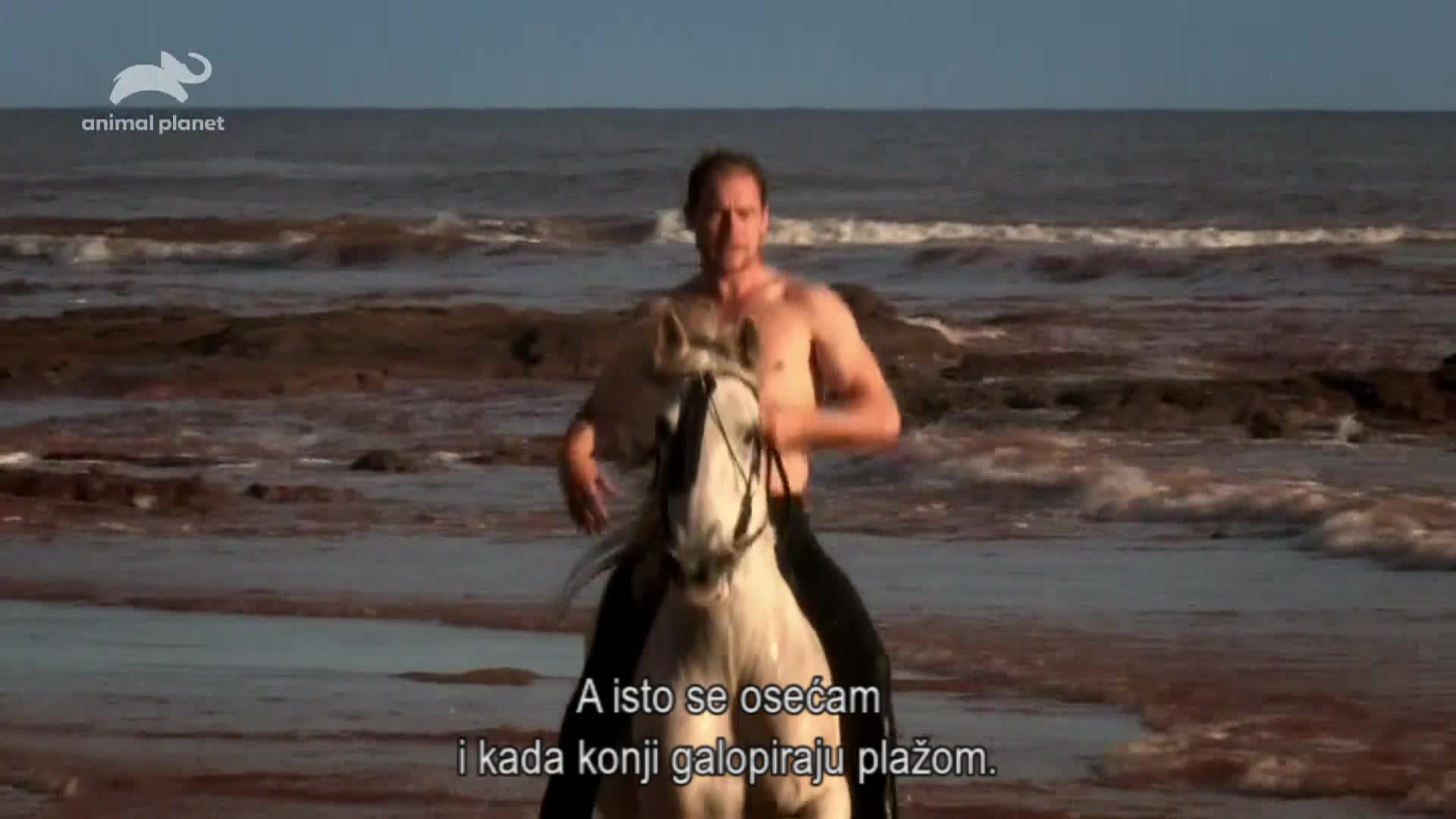 AnimalPlanet