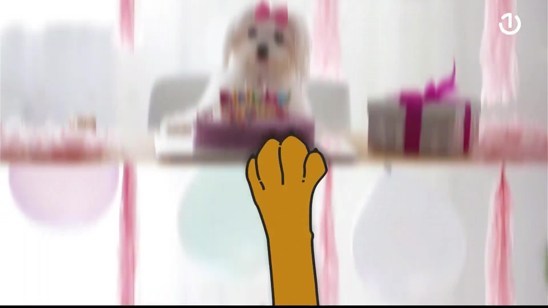 BHT