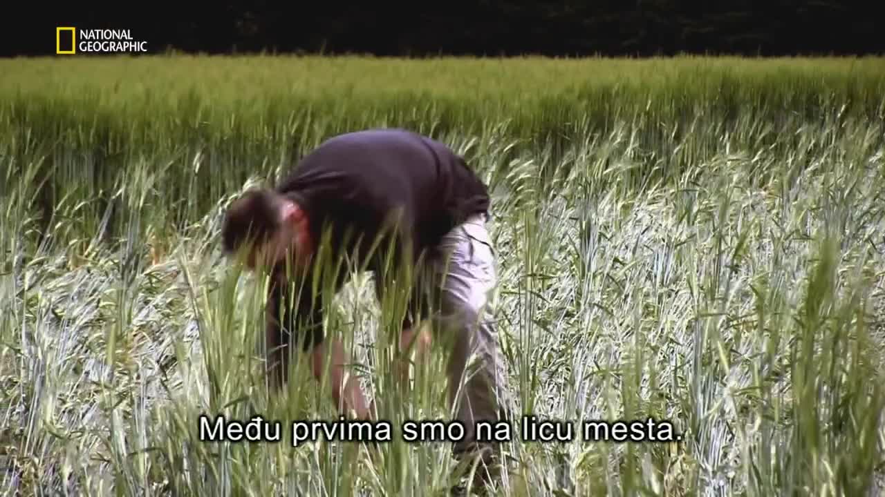 Premium10