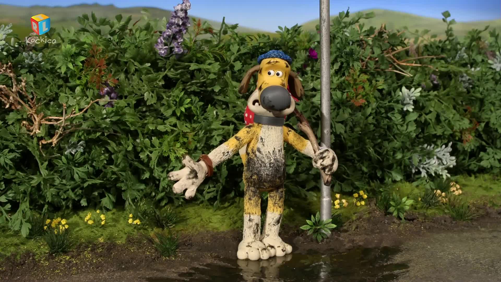 RTLKockica