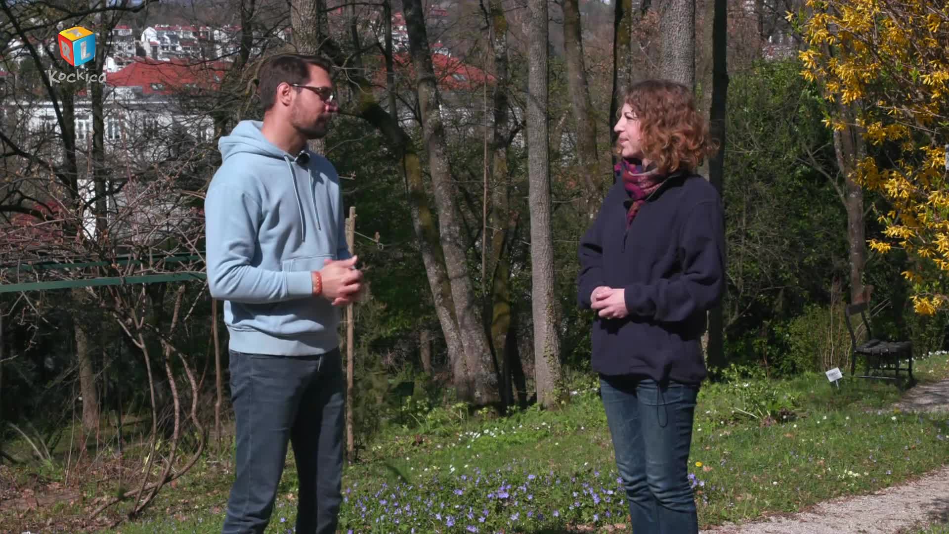 RTLKockica