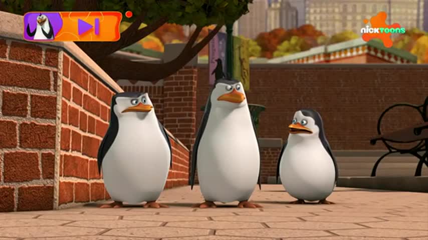 CCExtra