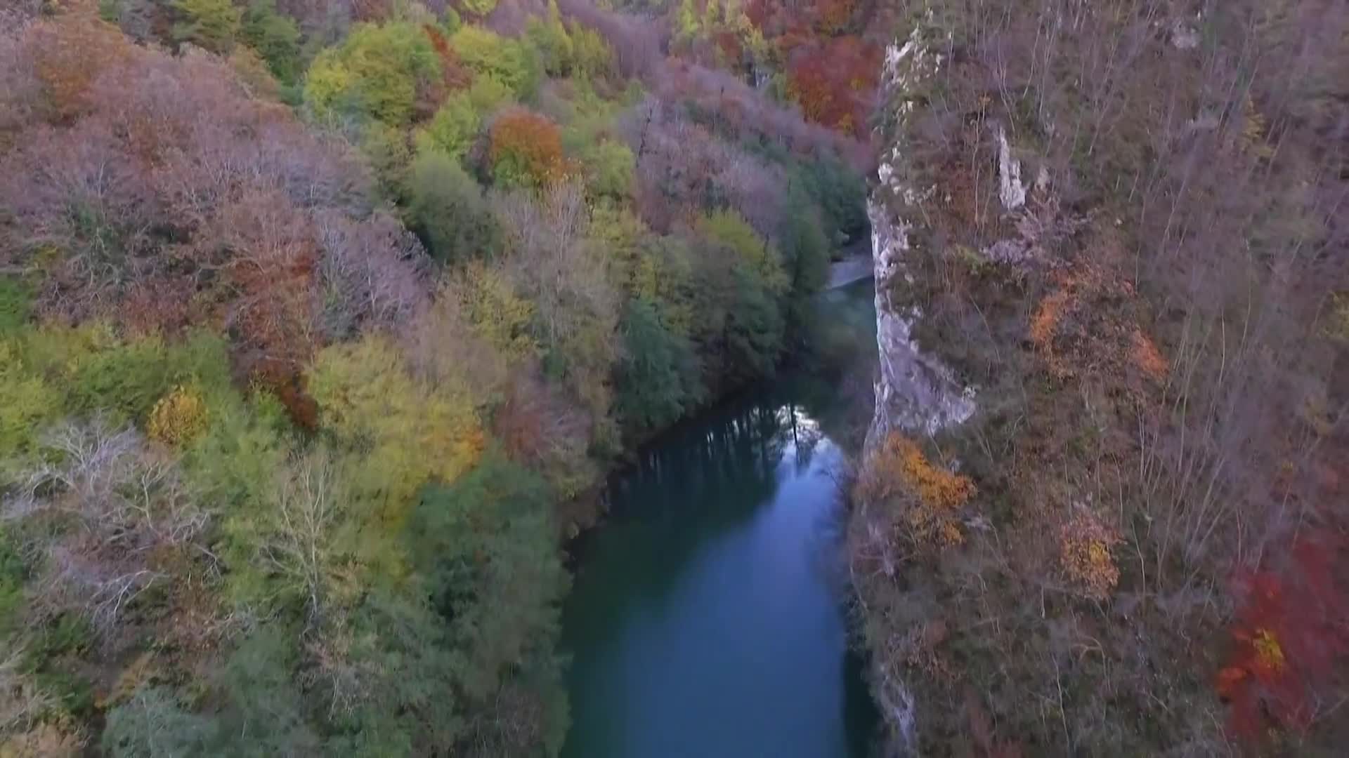 DokuTV