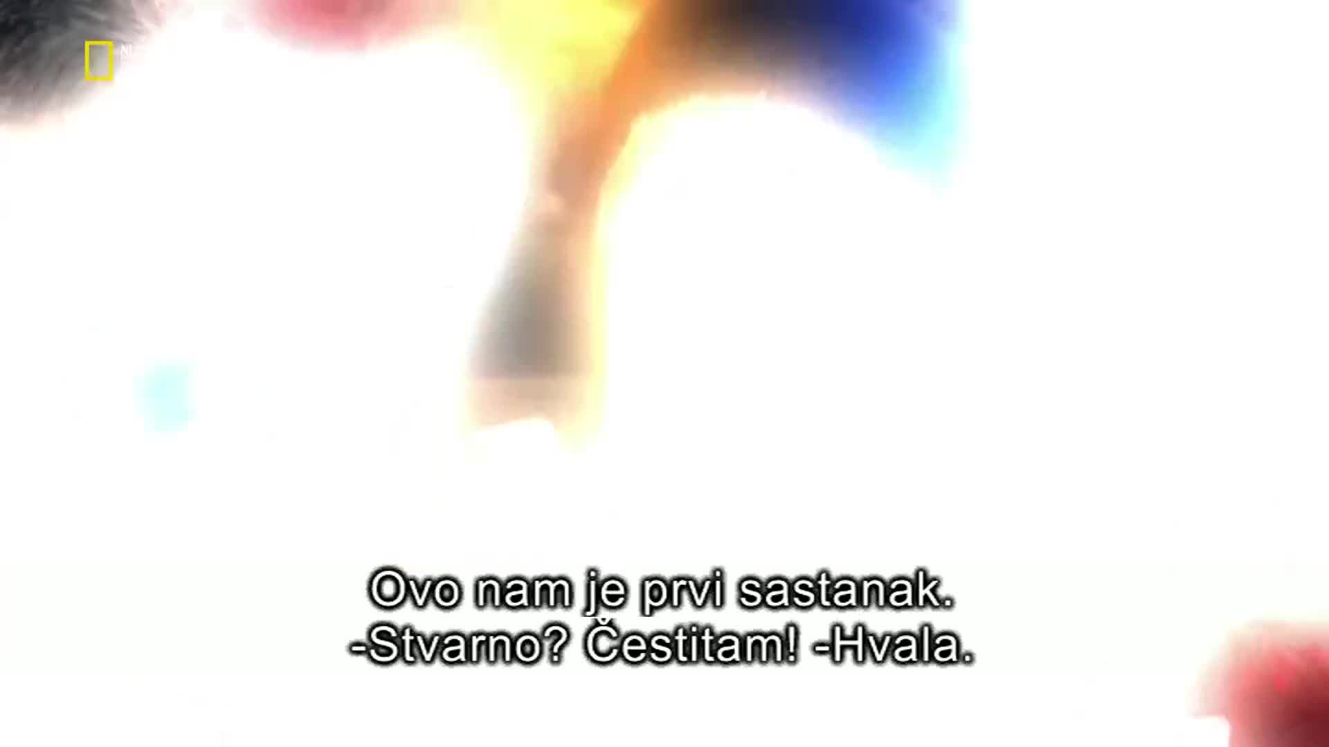 Premium10