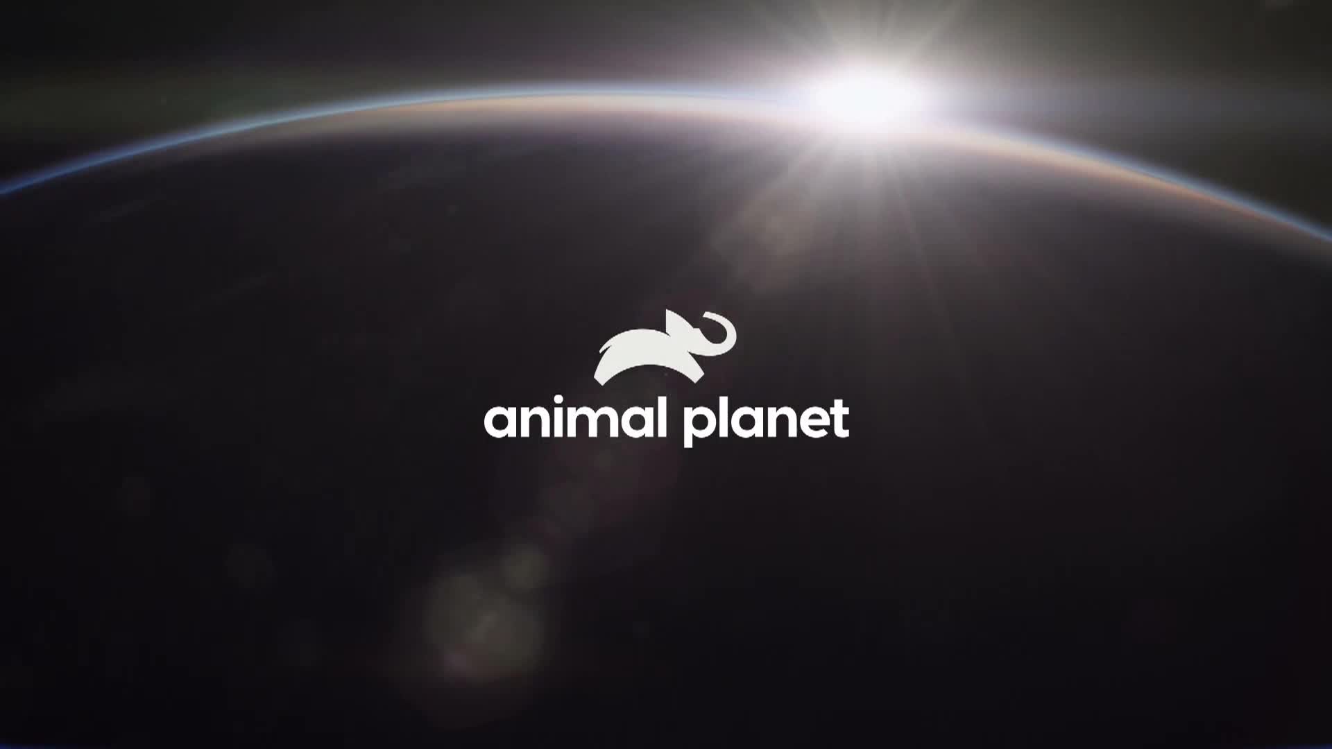 AnimalPlanet