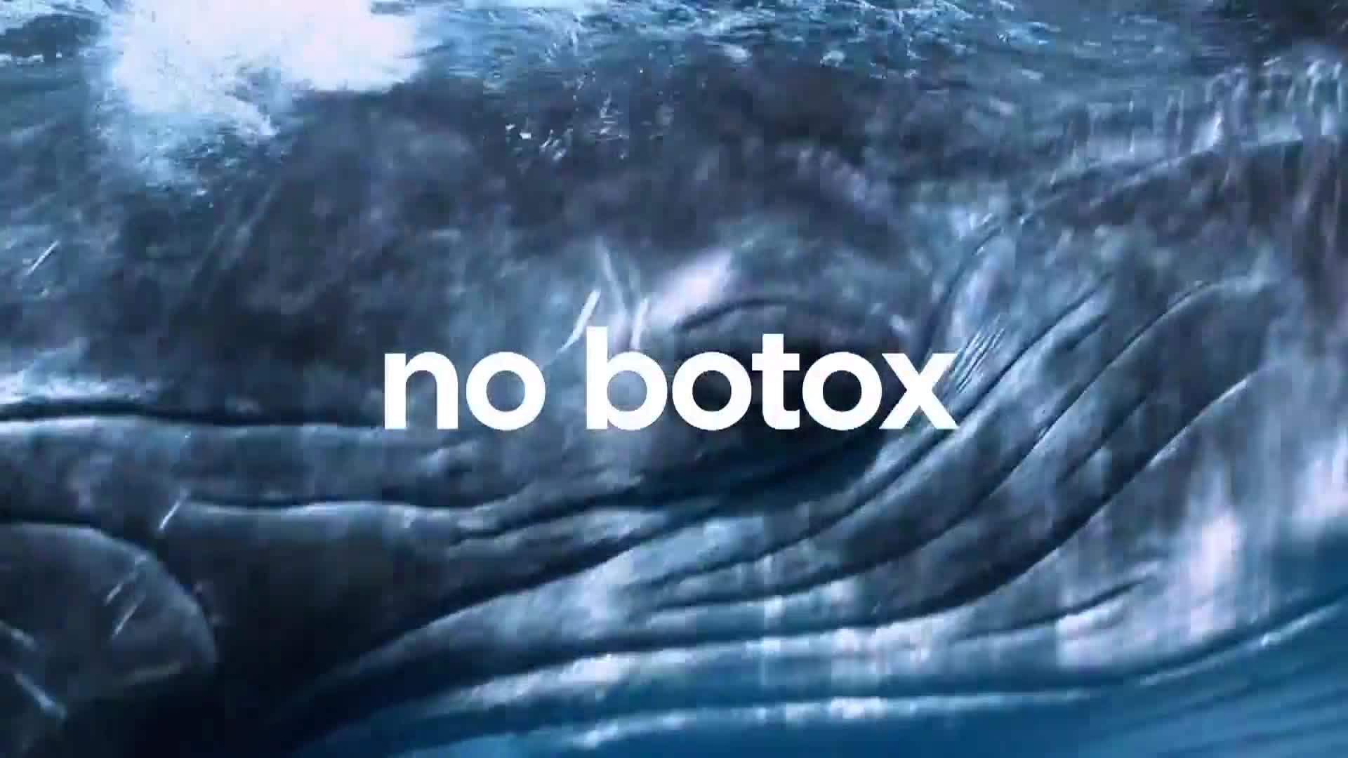 AnimalPlanet