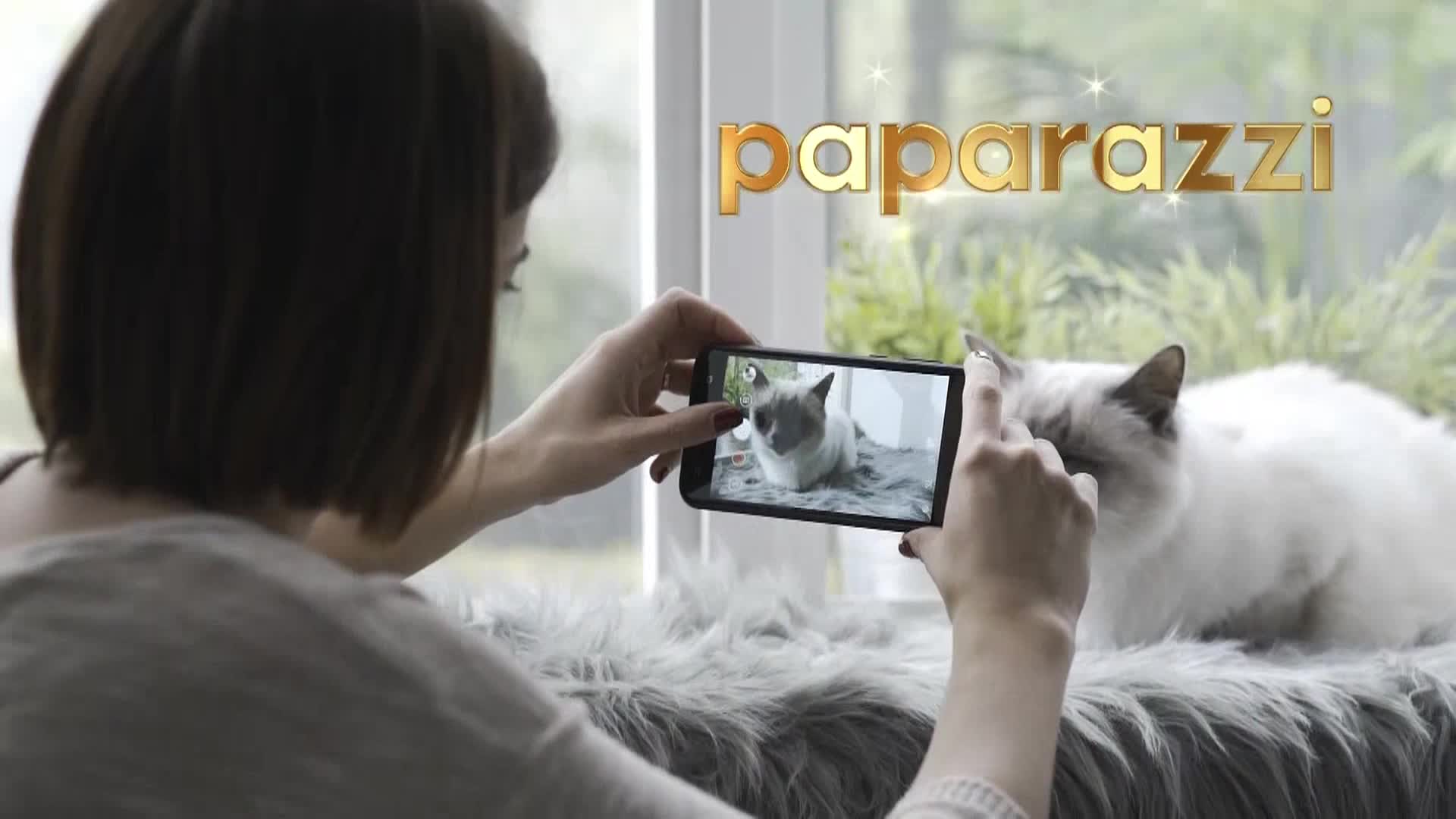 AnimalPlanet