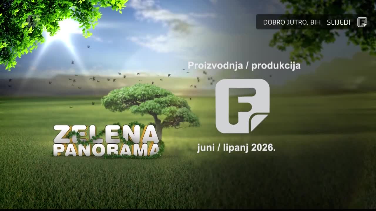 FTV