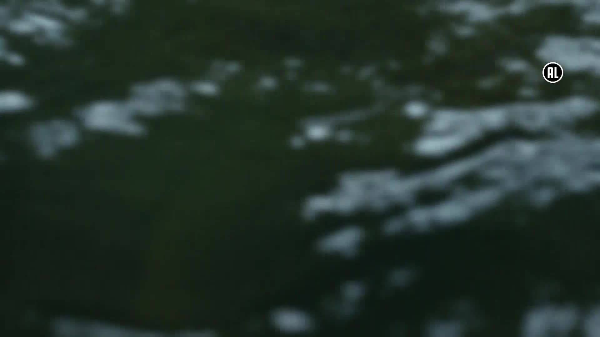 AnimalPlanet