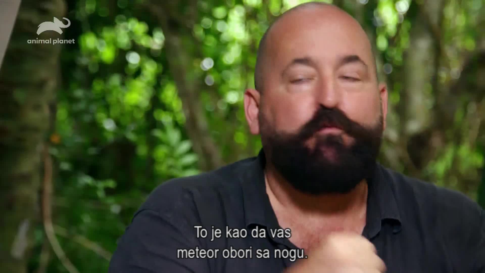 AnimalPlanet
