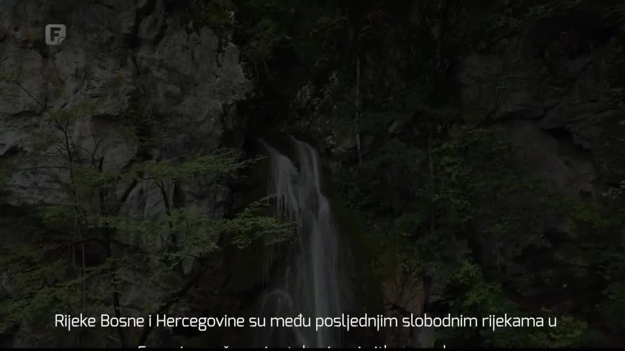FTV