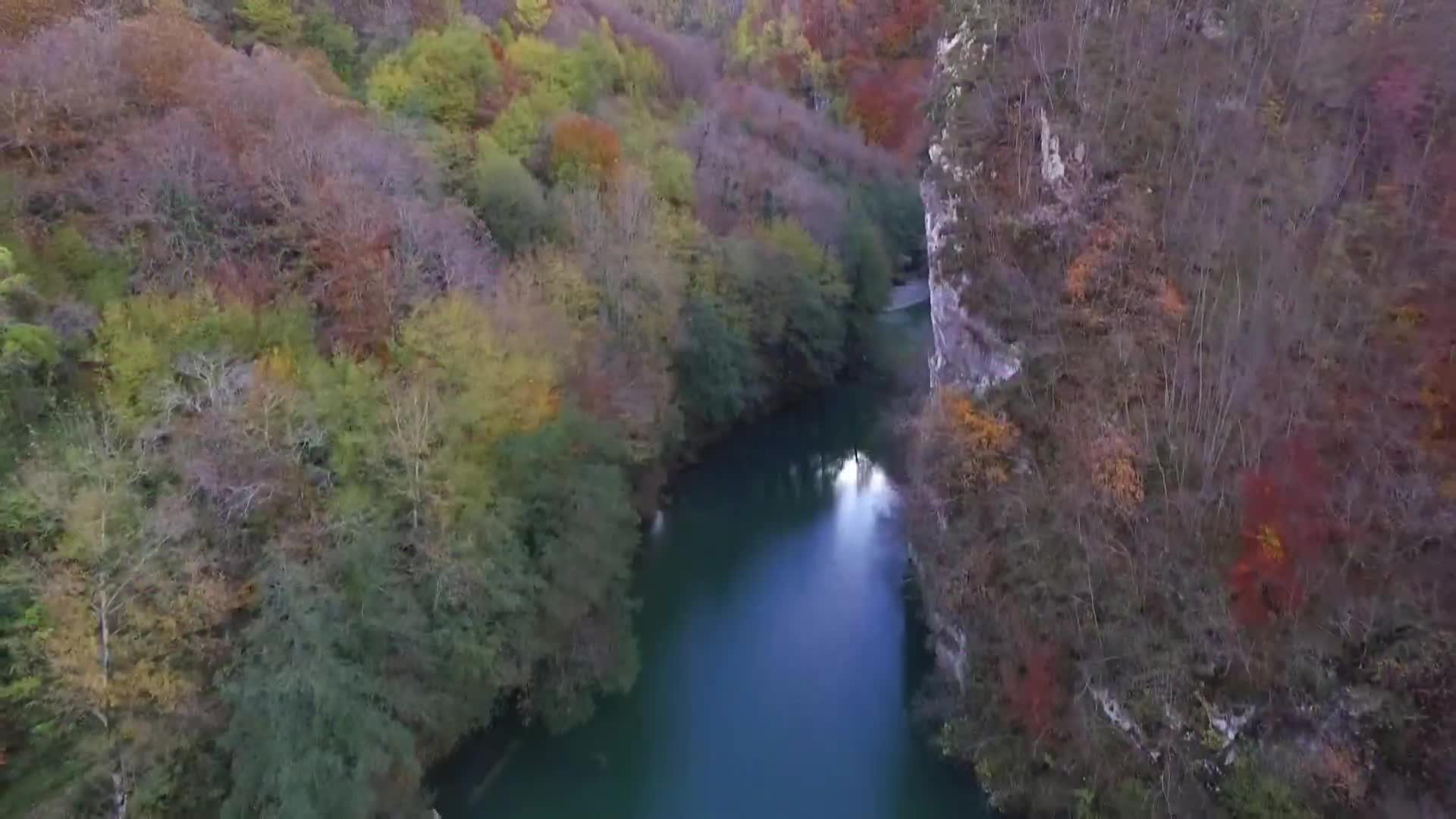 DokuTV