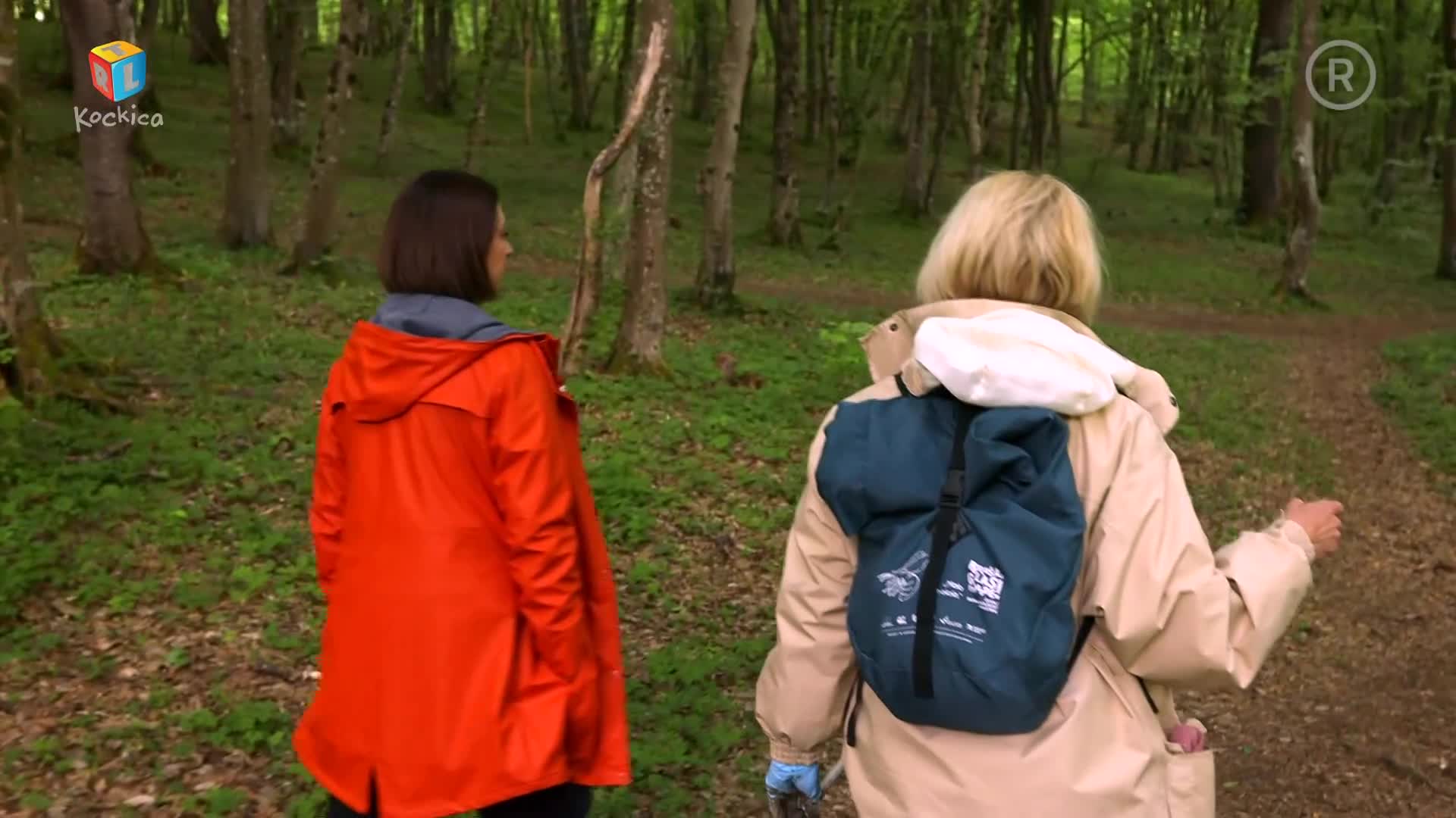 RTLKockica