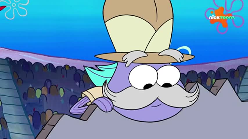 CCExtra