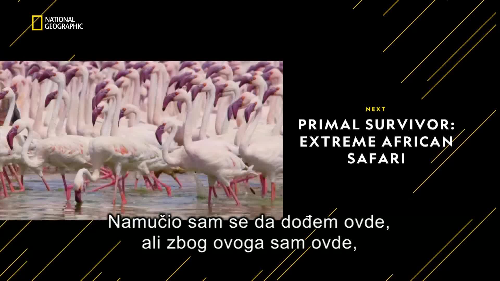 Premium10