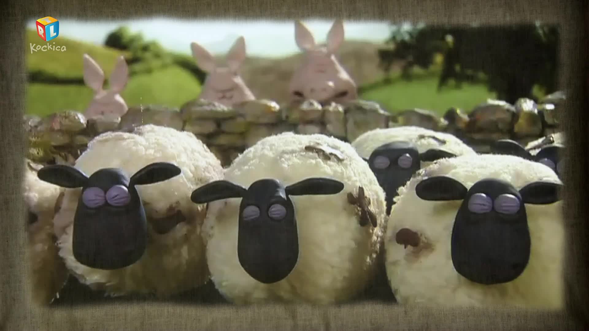 RTLKockica