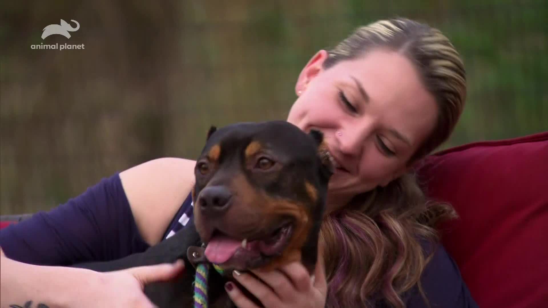 AnimalPlanet
