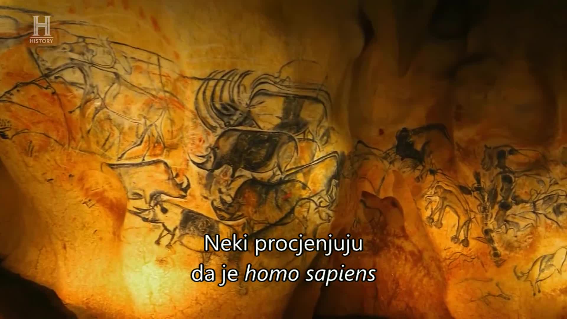 History