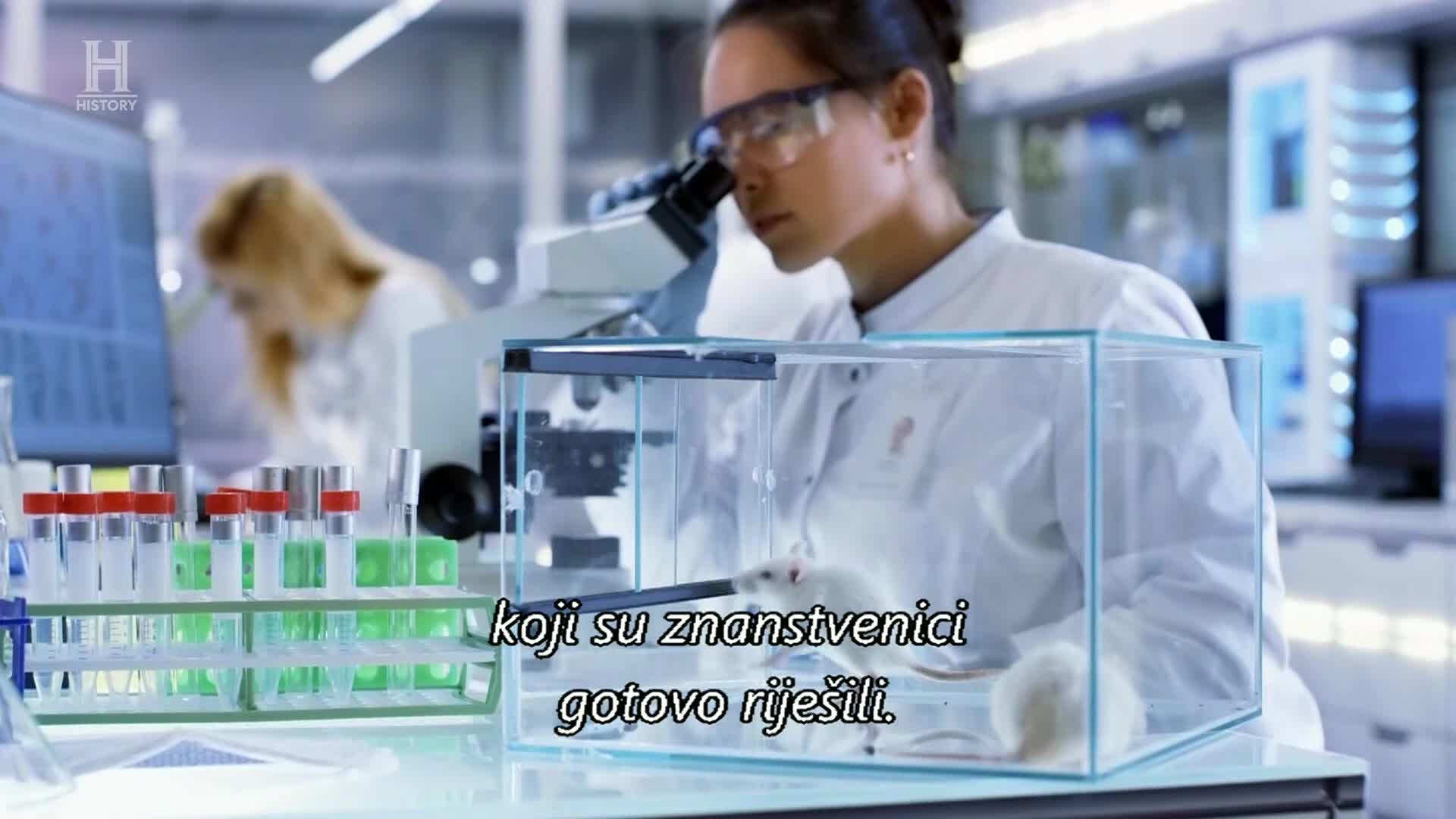 History