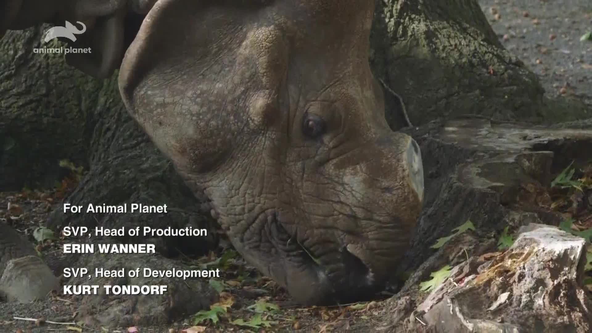 AnimalPlanet