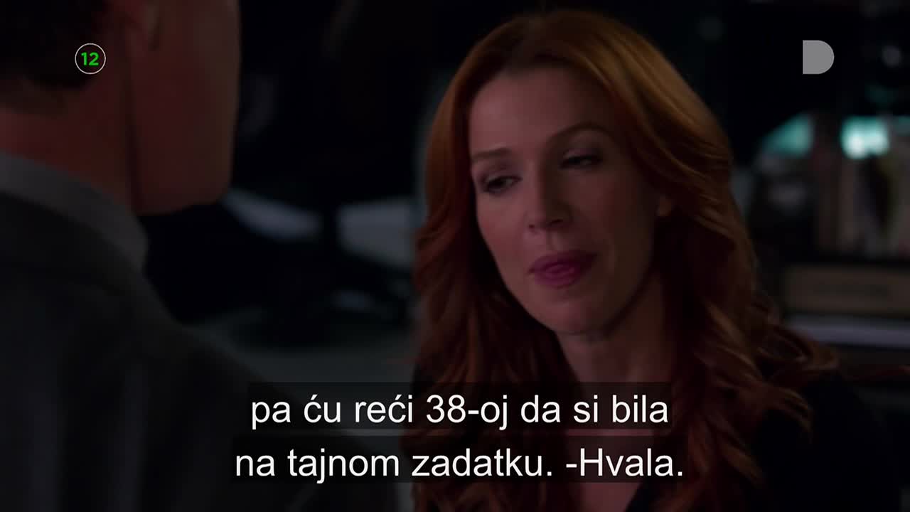 DomaTV