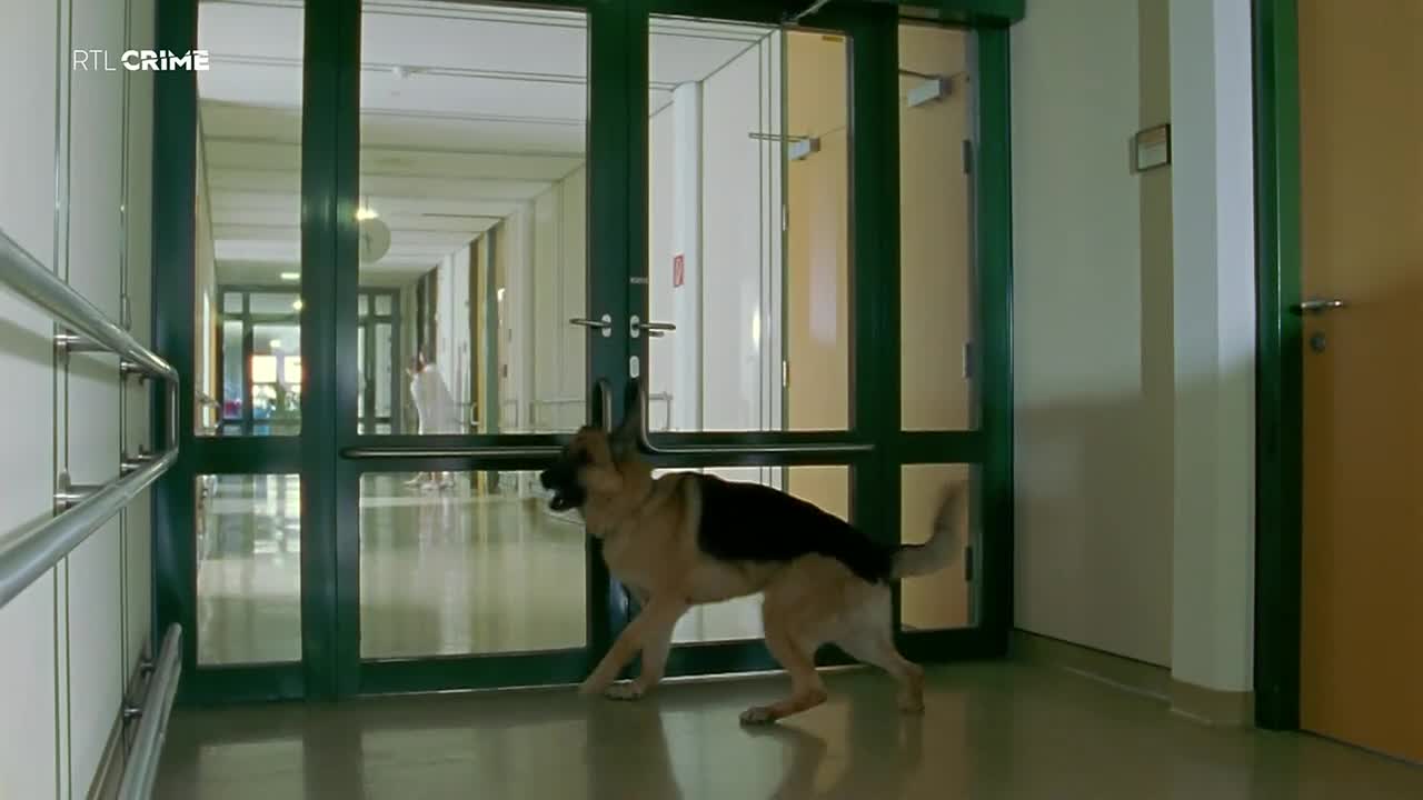 RTLcrime