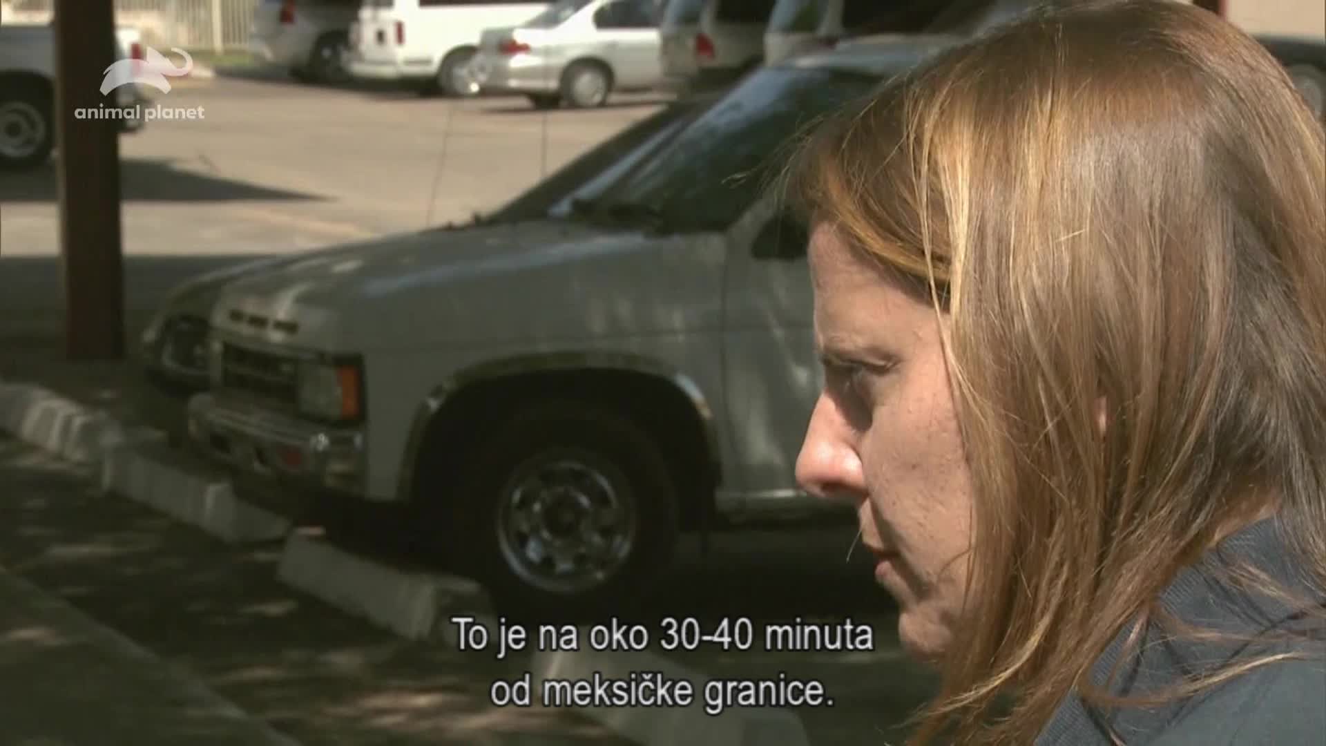 AnimalPlanet