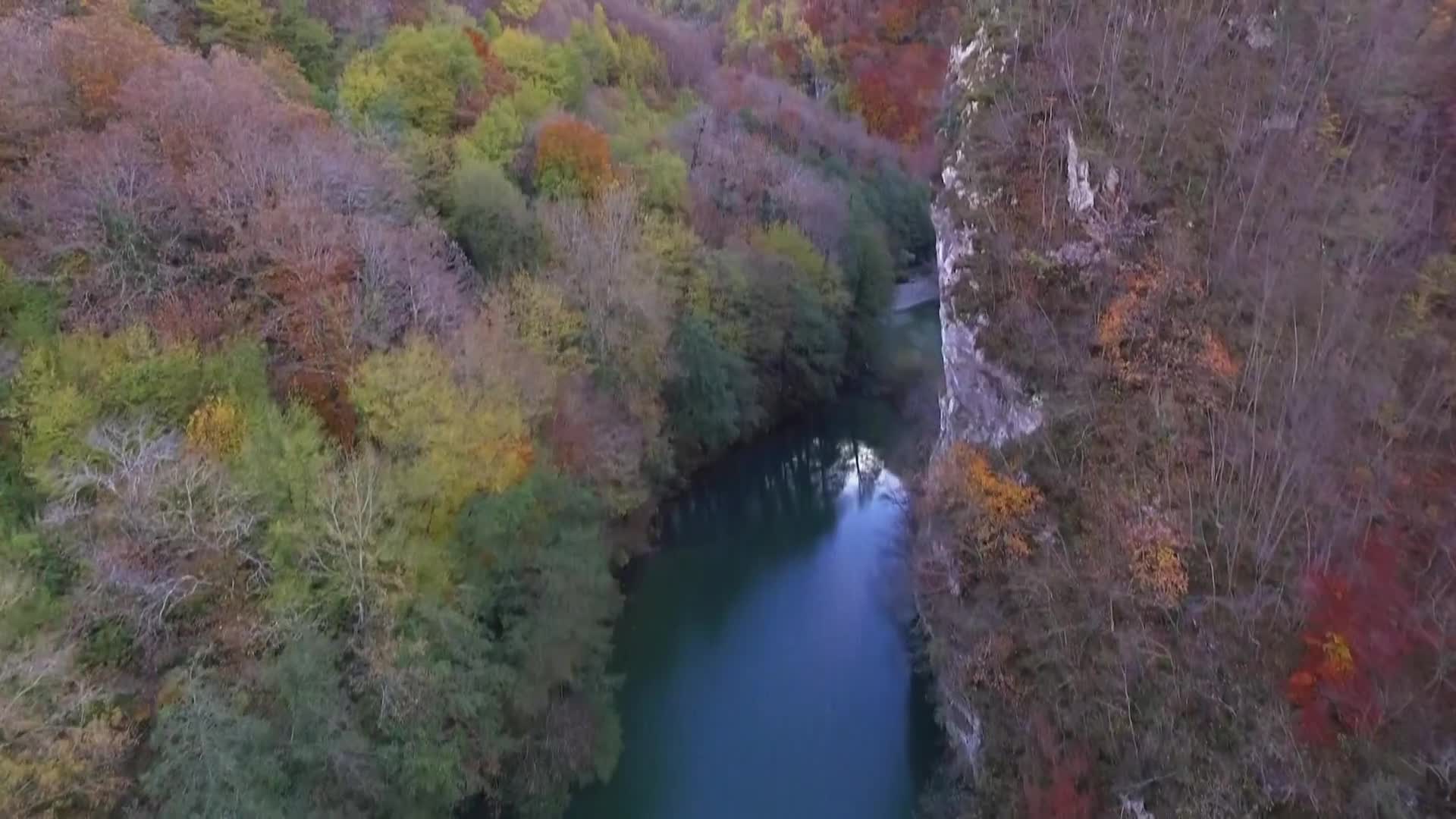 DokuTV