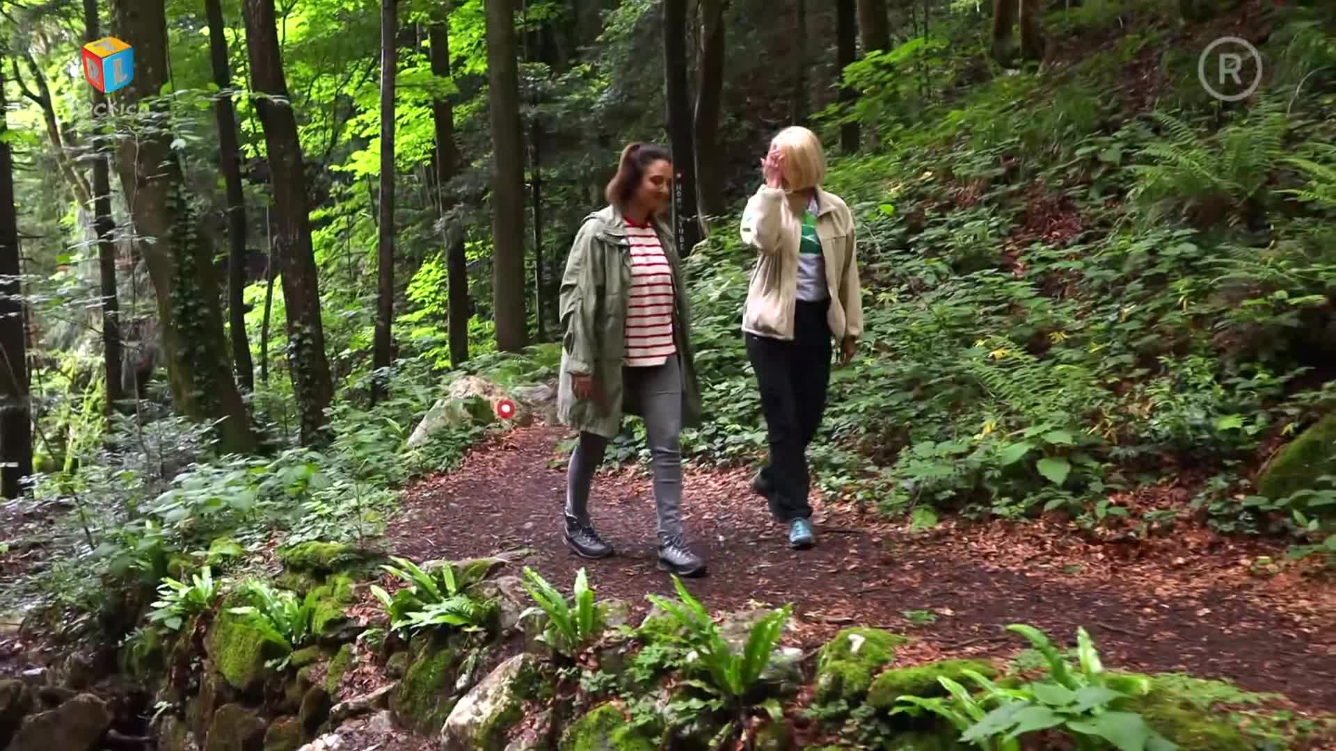 RTLKockica
