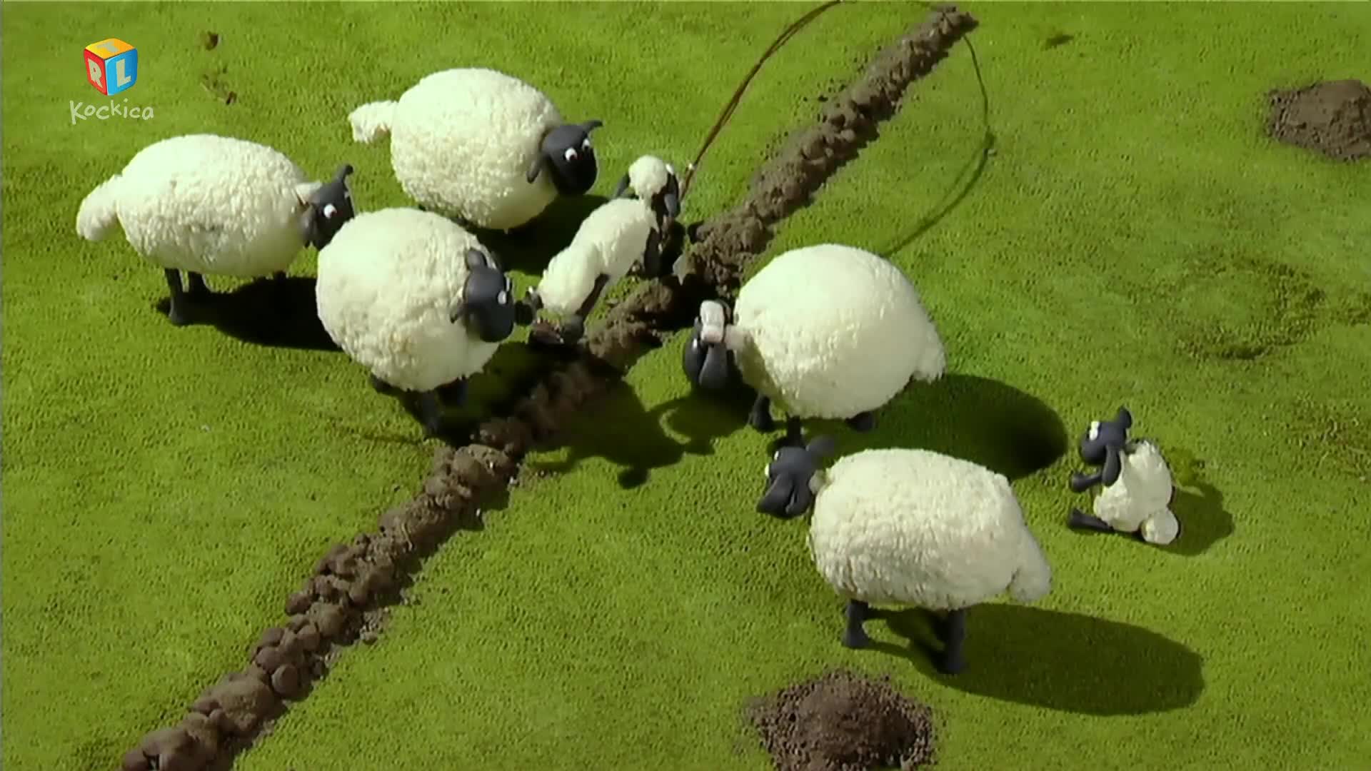 RTLKockica