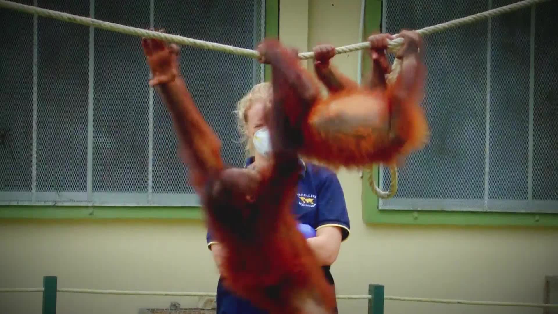 AnimalPlanet
