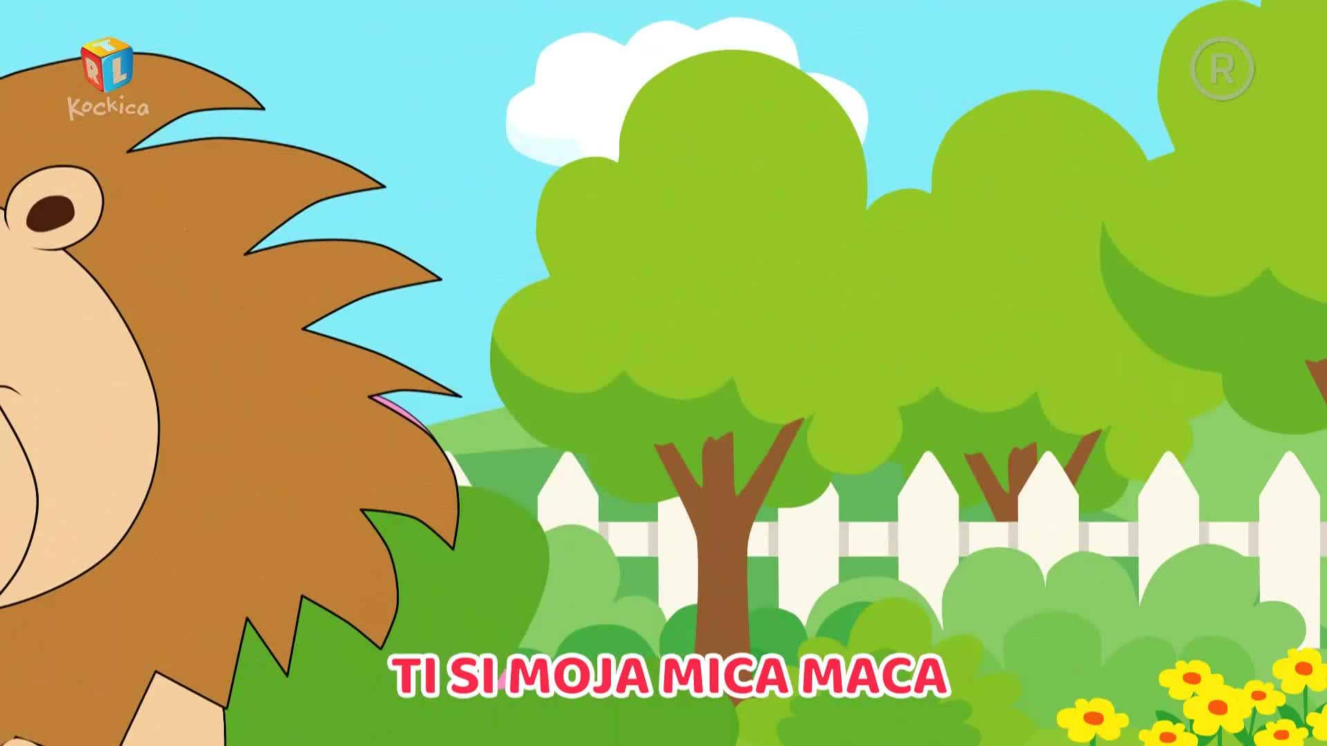 RTLKockica