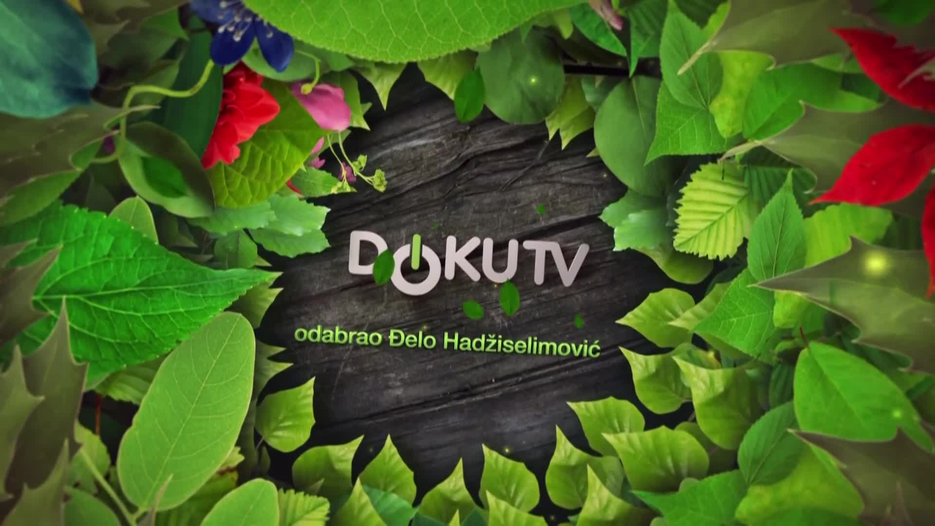 DokuTV