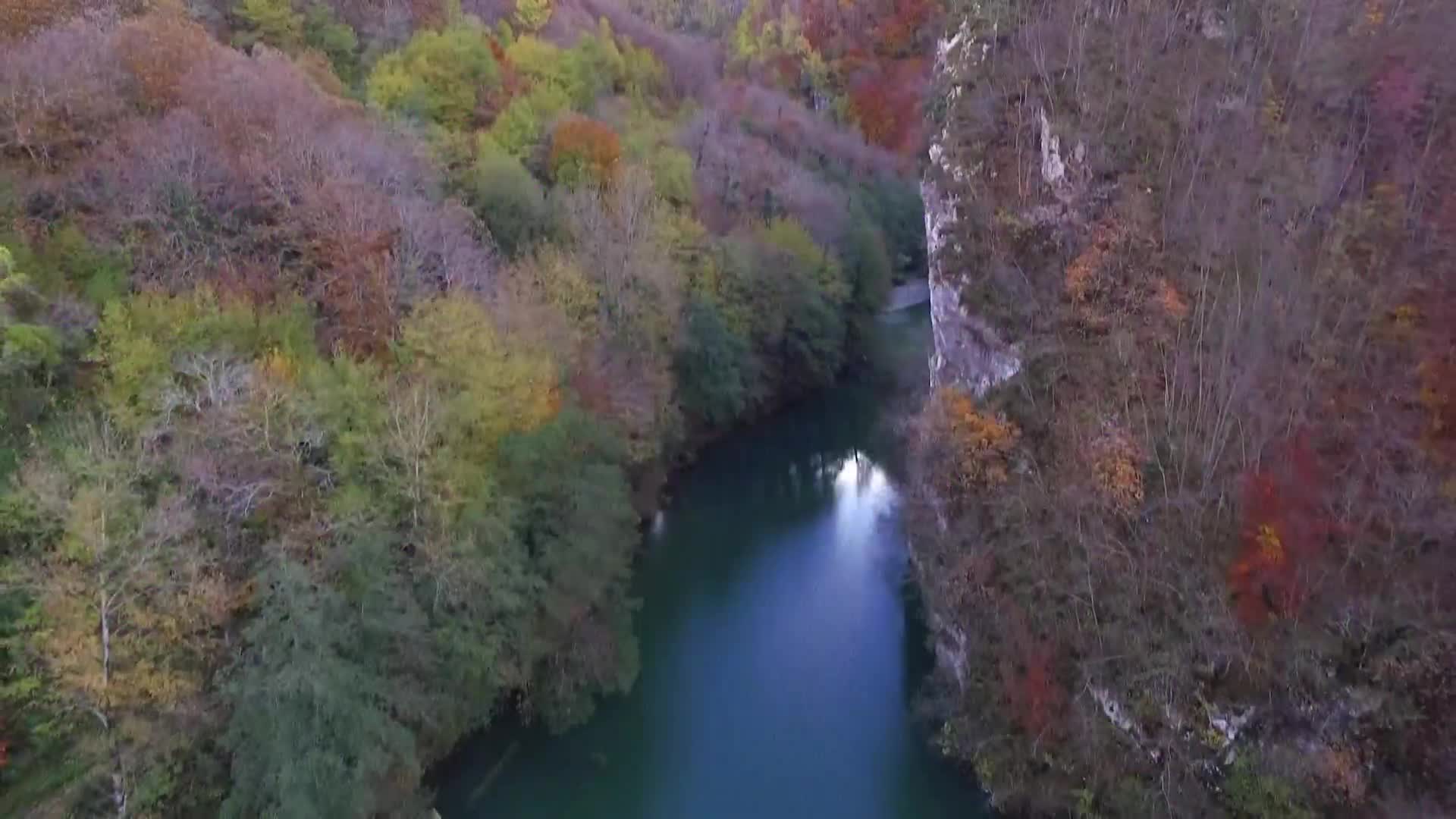 DokuTV