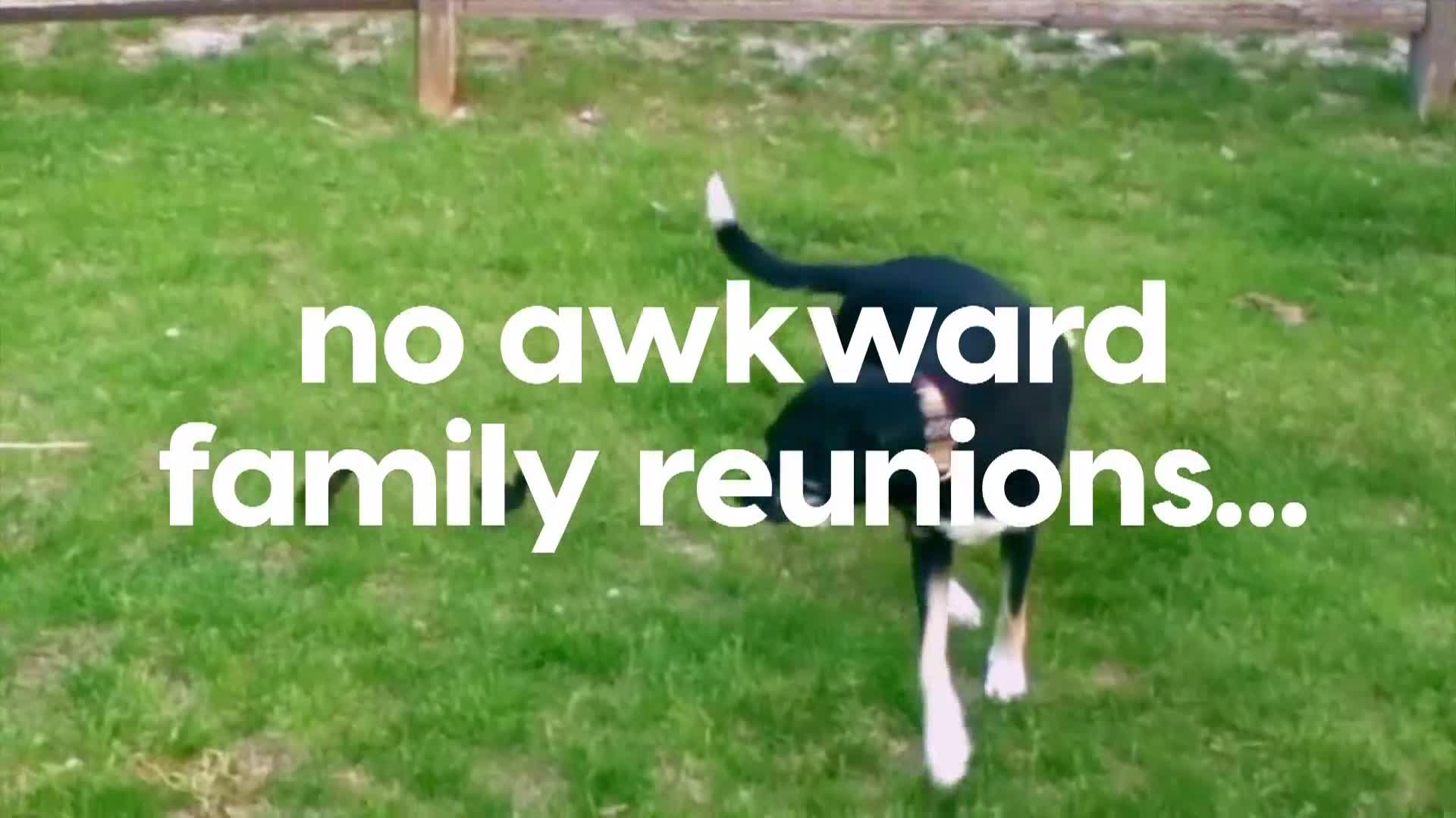 AnimalPlanet