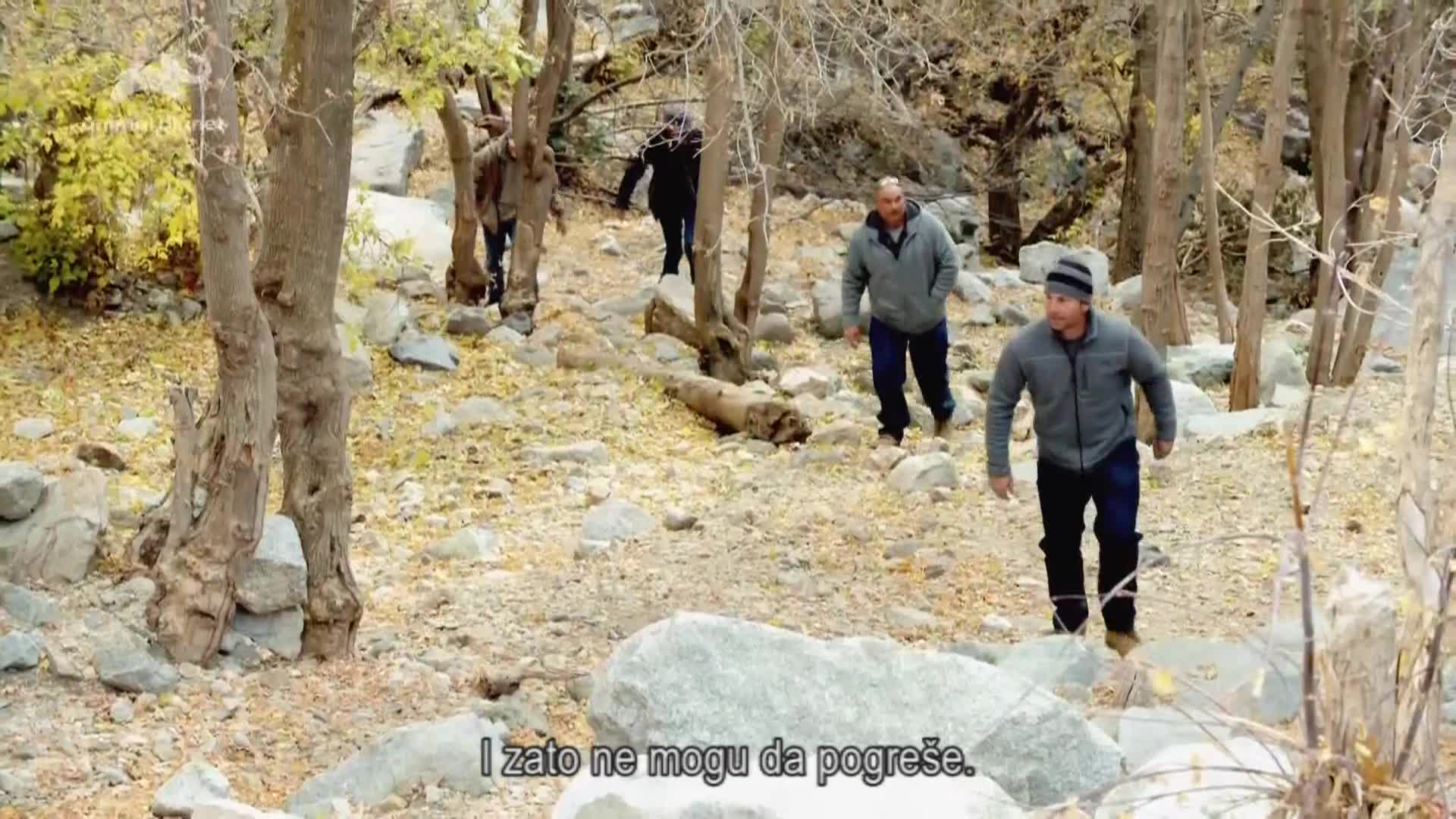 AnimalPlanet