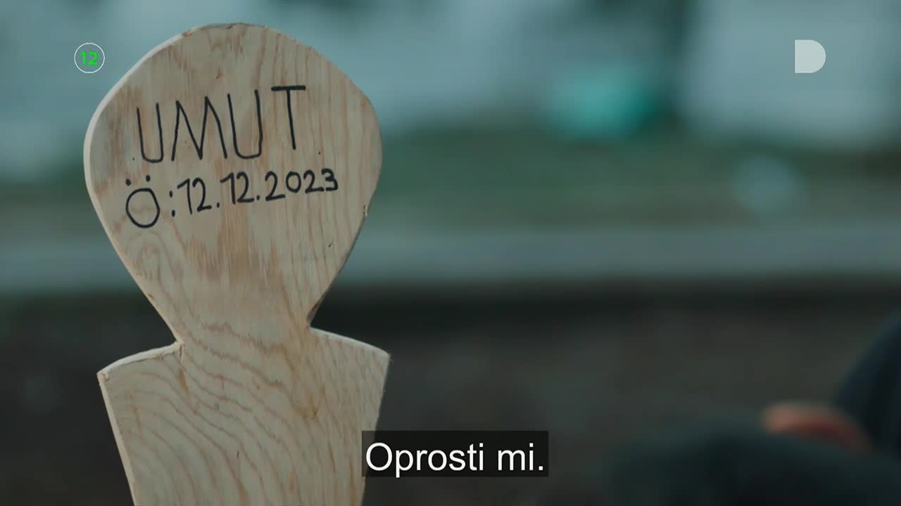 DomaTV