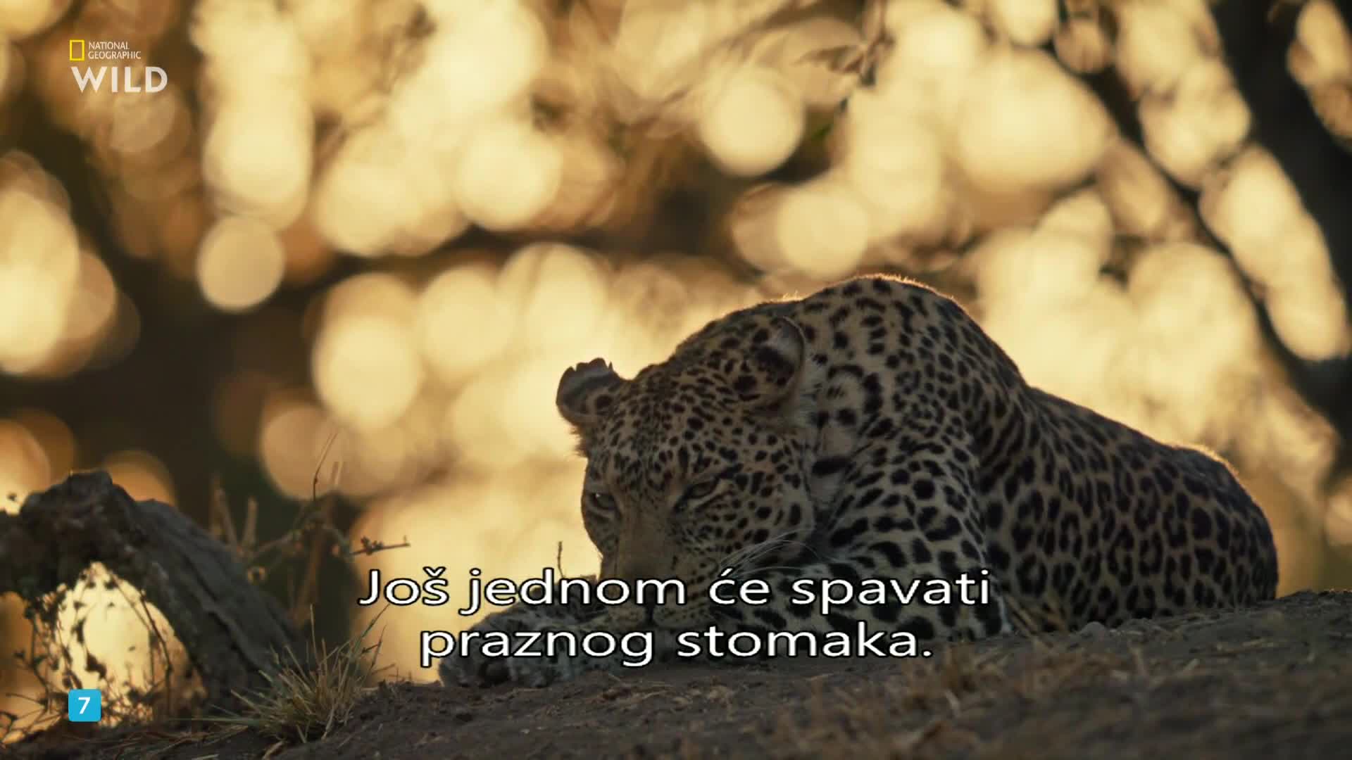 Premium9
