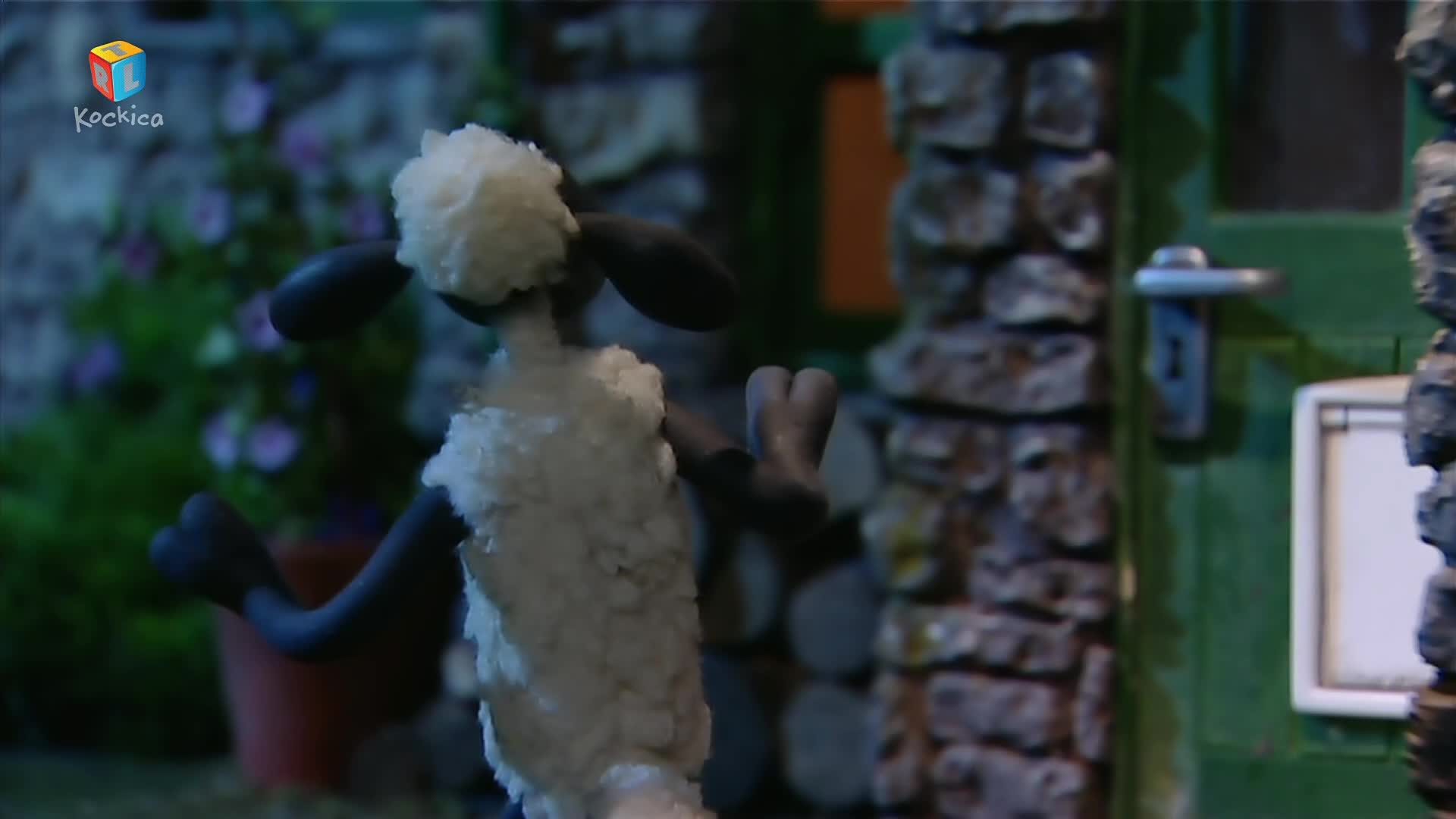 RTLKockica