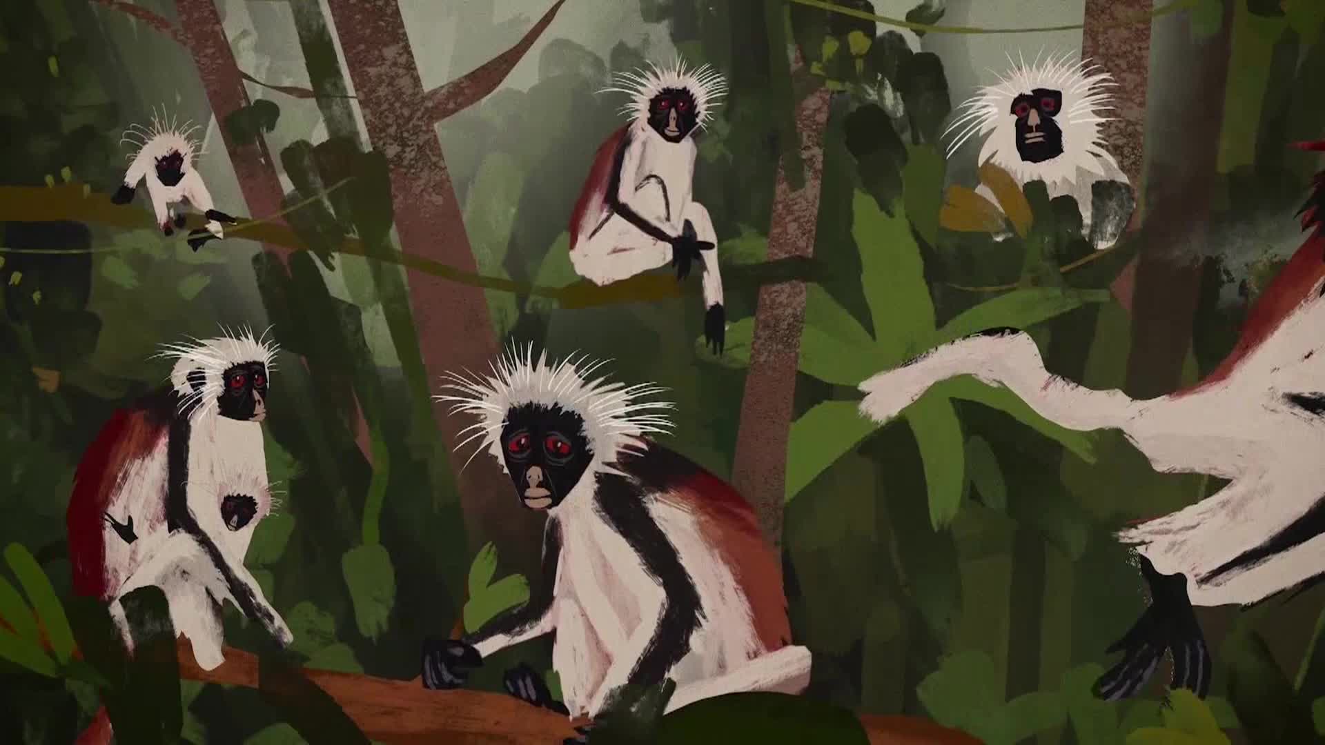 AnimalPlanet