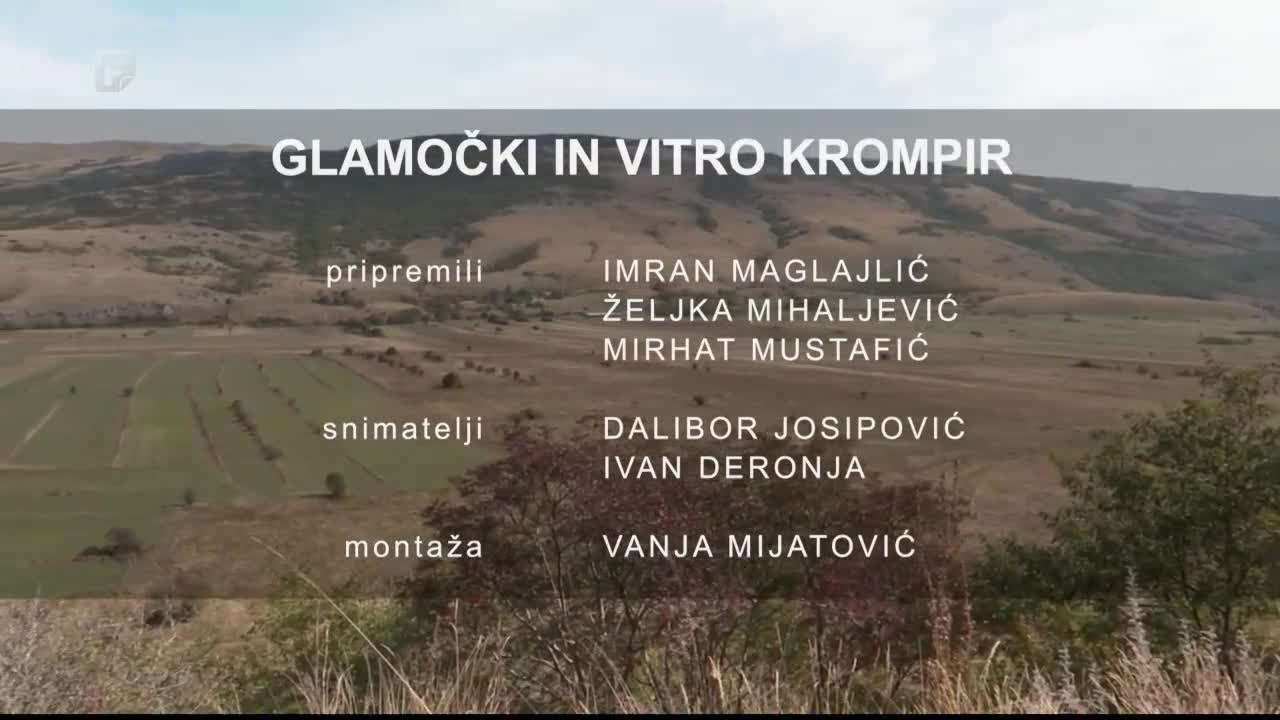 FTV