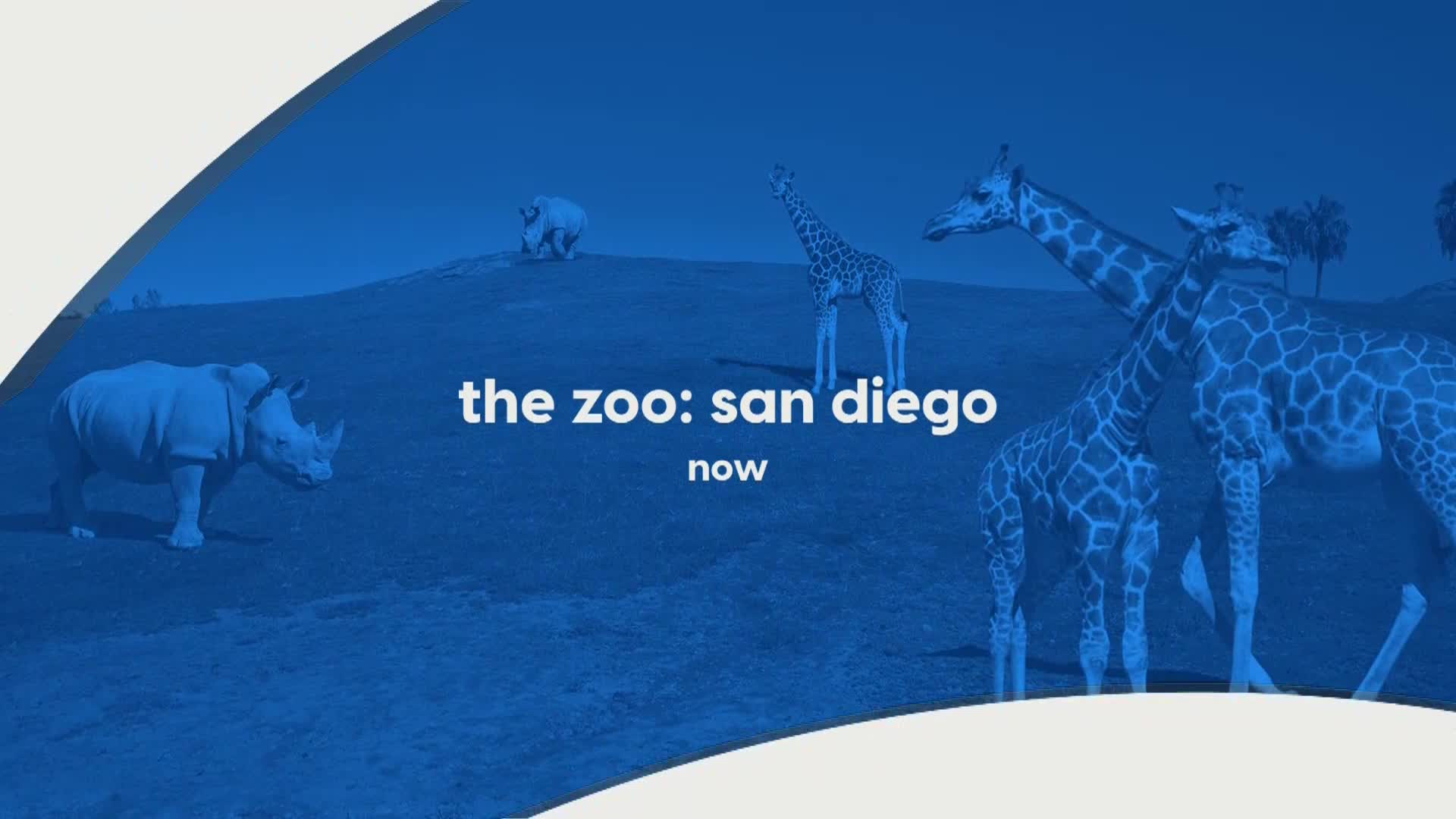 AnimalPlanet