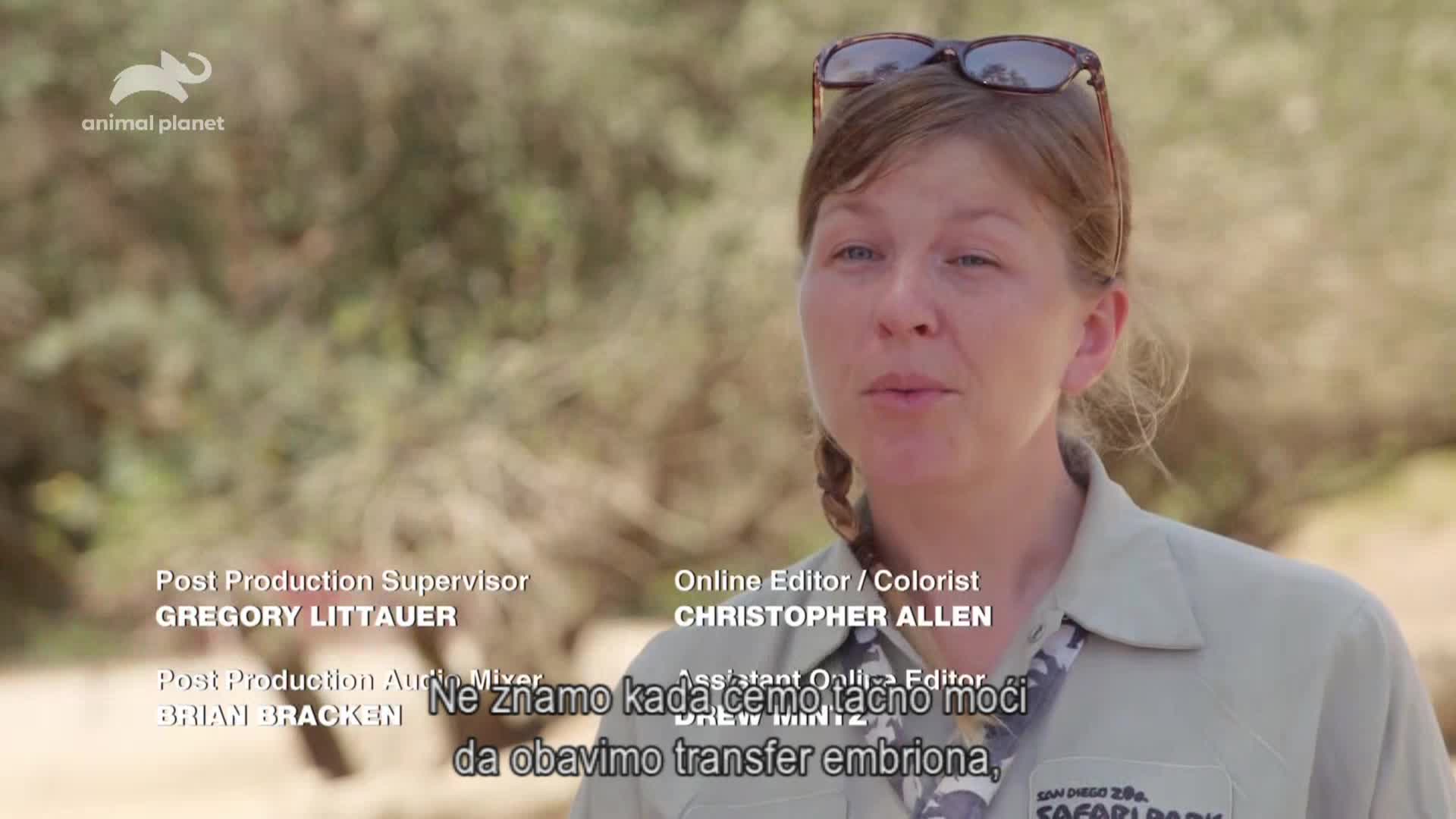 AnimalPlanet