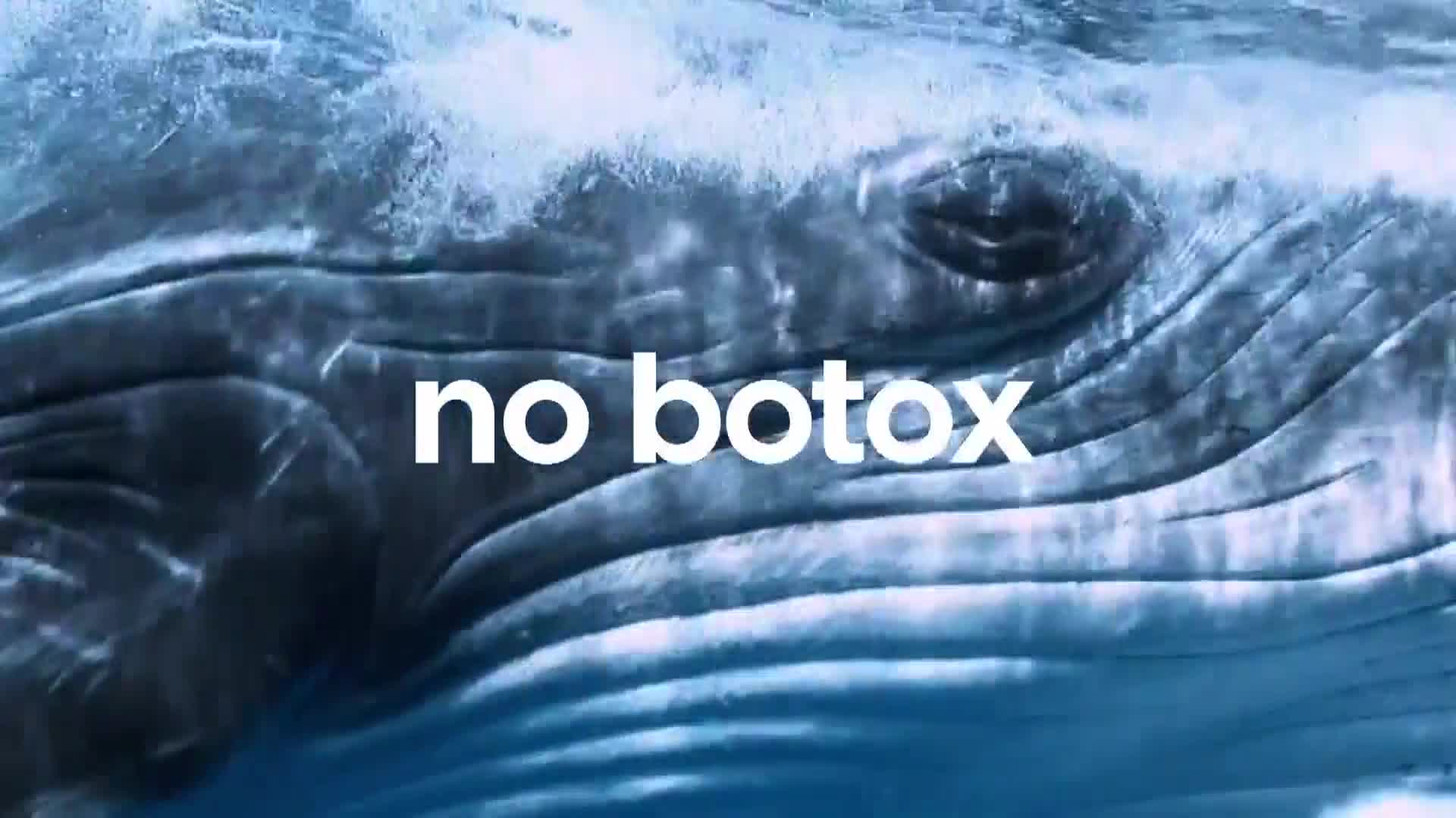 AnimalPlanet