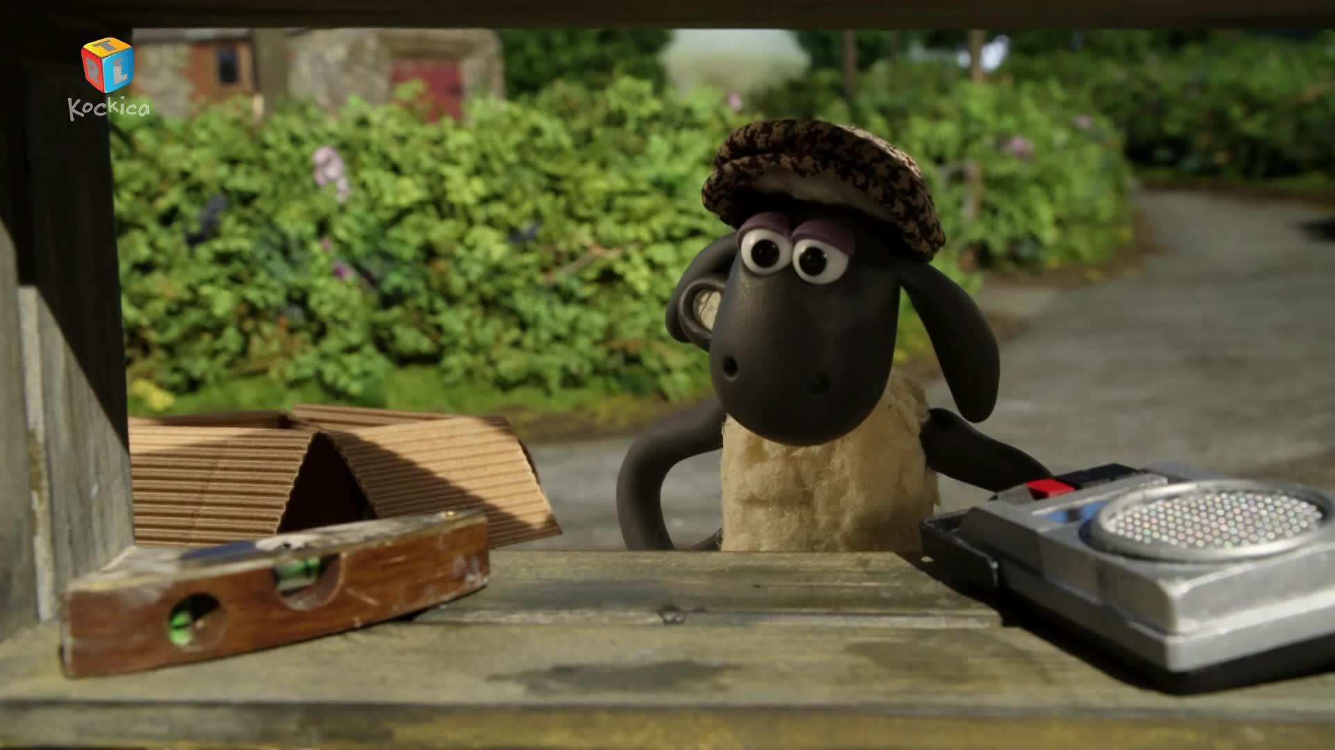 RTLKockica